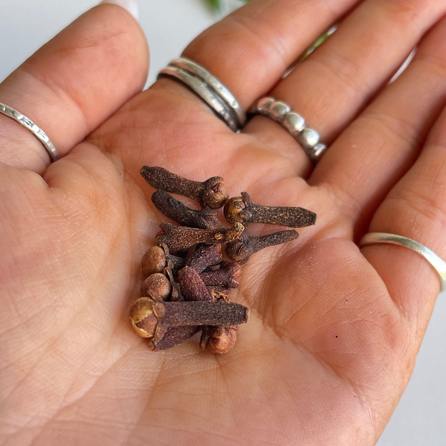 Clove Bud (Whole) 10g