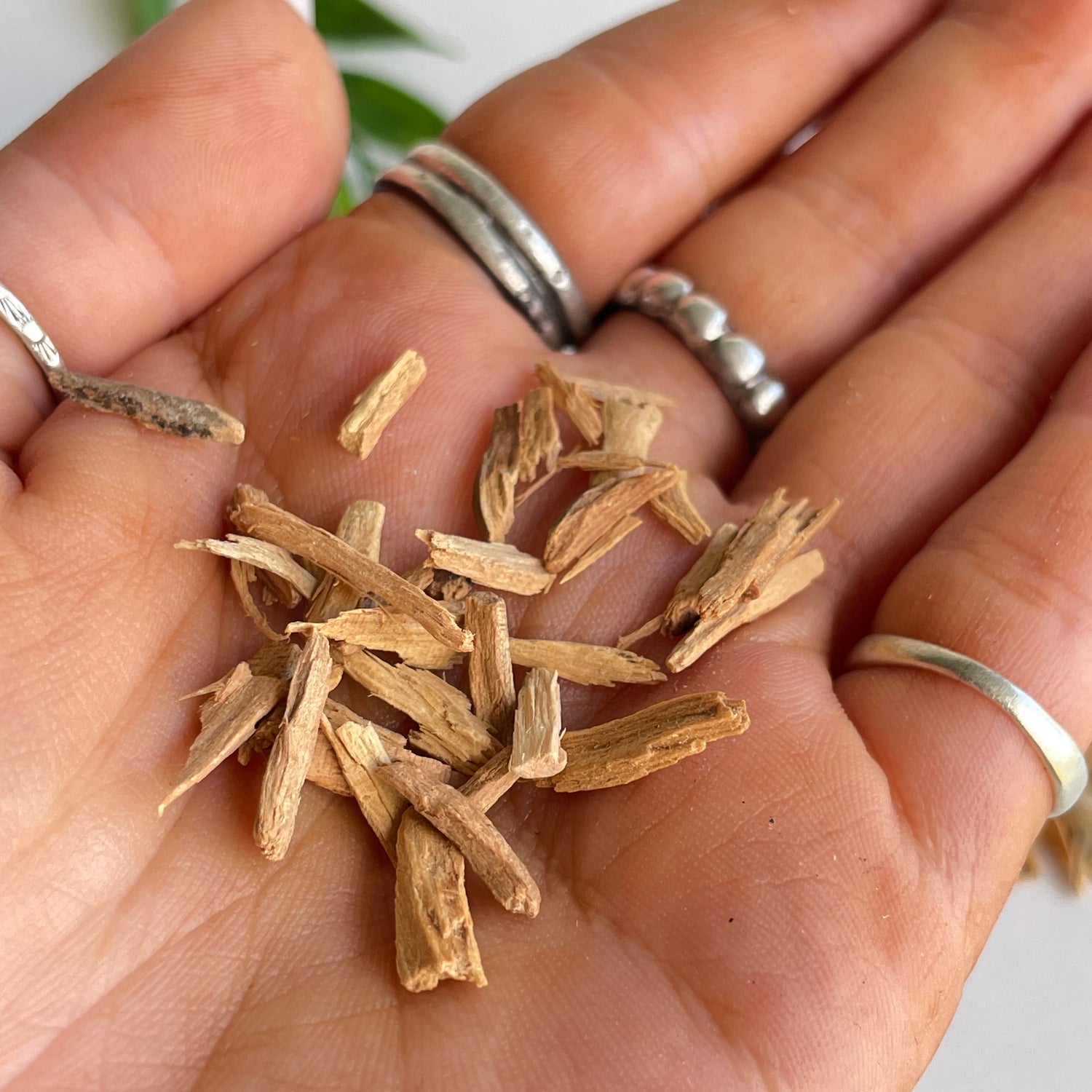 Sandalwood 10g