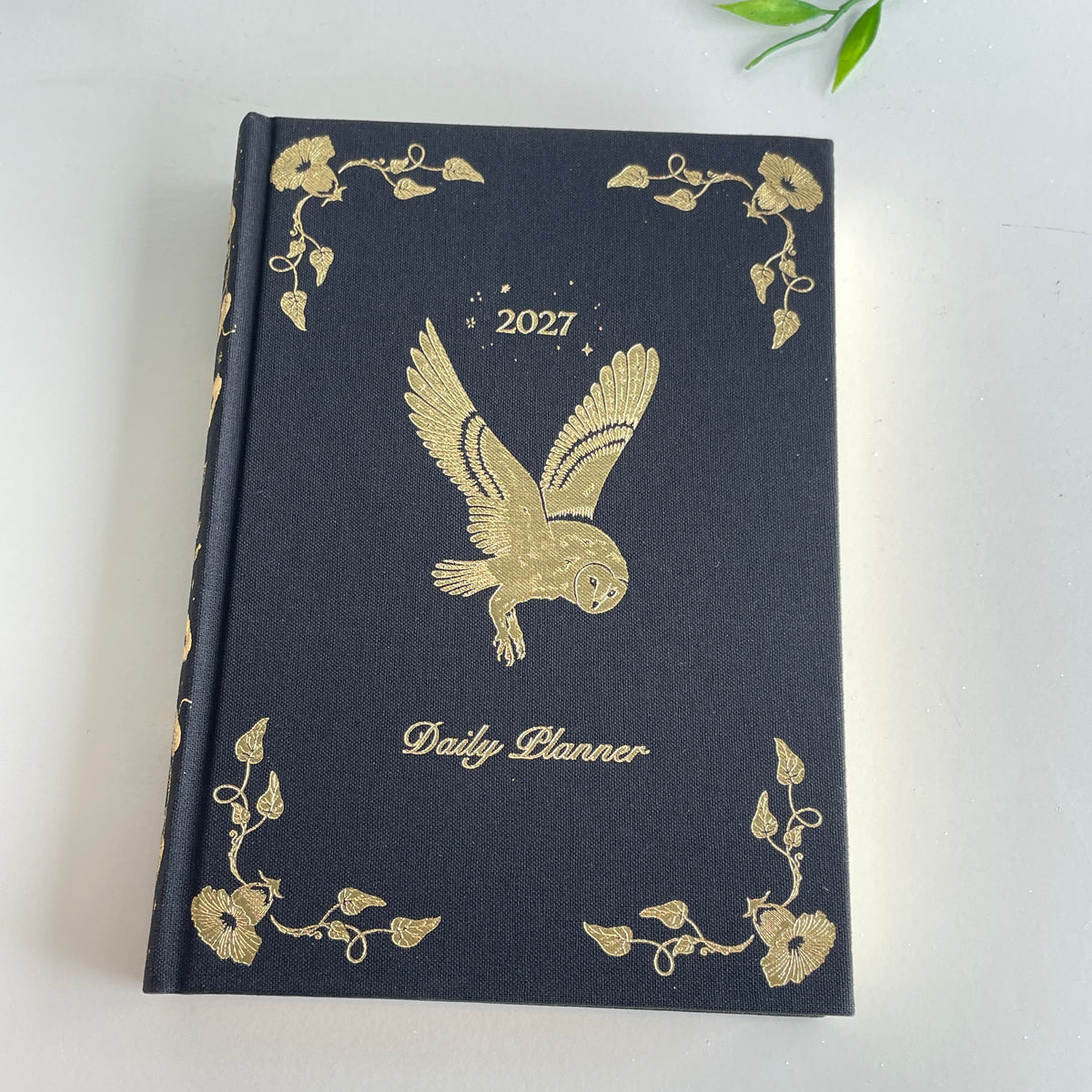 Dreamymoons 2027 Daily Planner Black