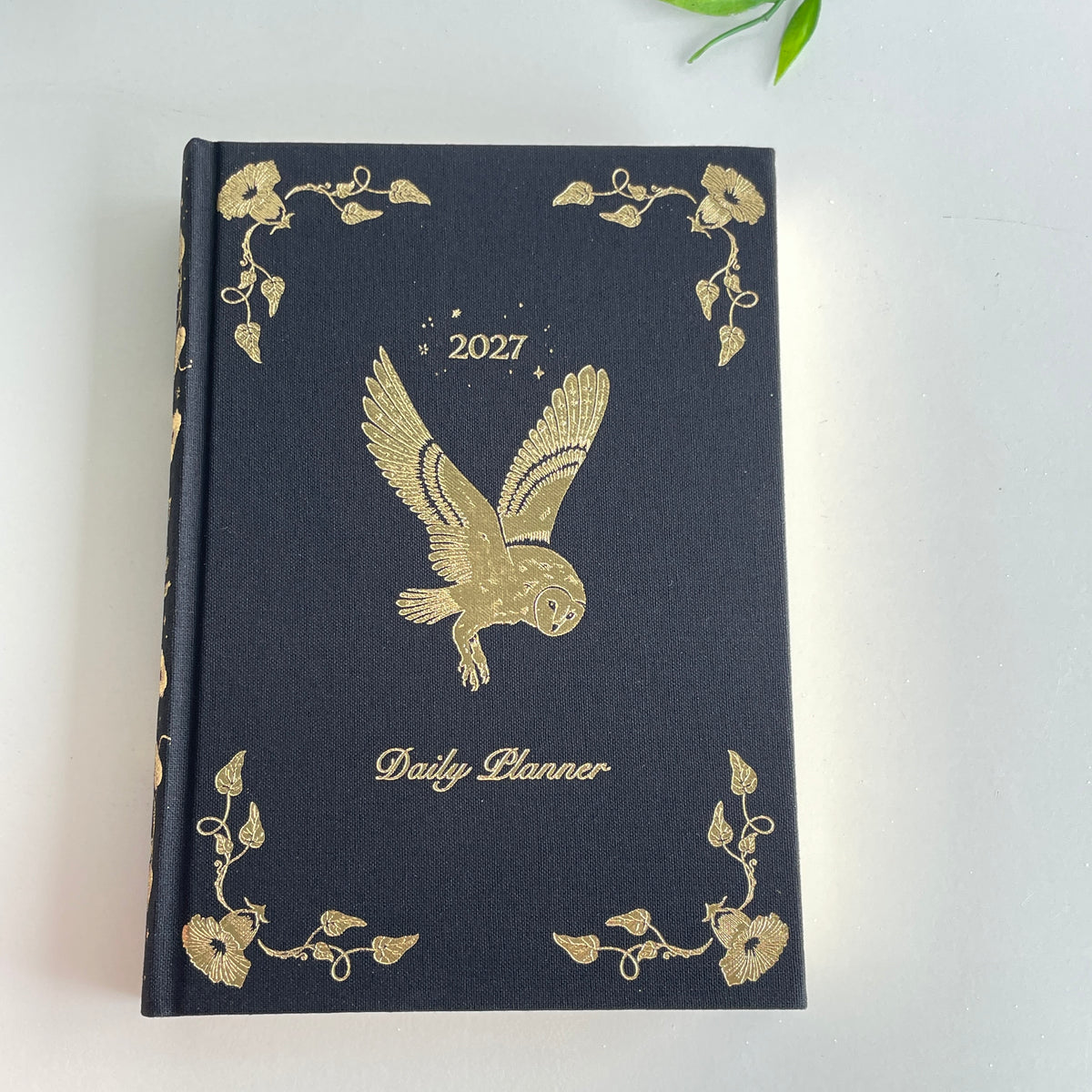 Dreamymoons 2027 Daily Planner Black
