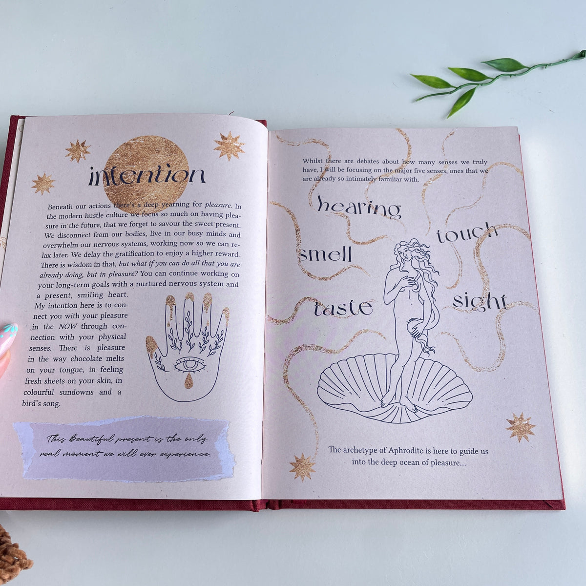Aphrodites Journal By Dreamymoons Ruby