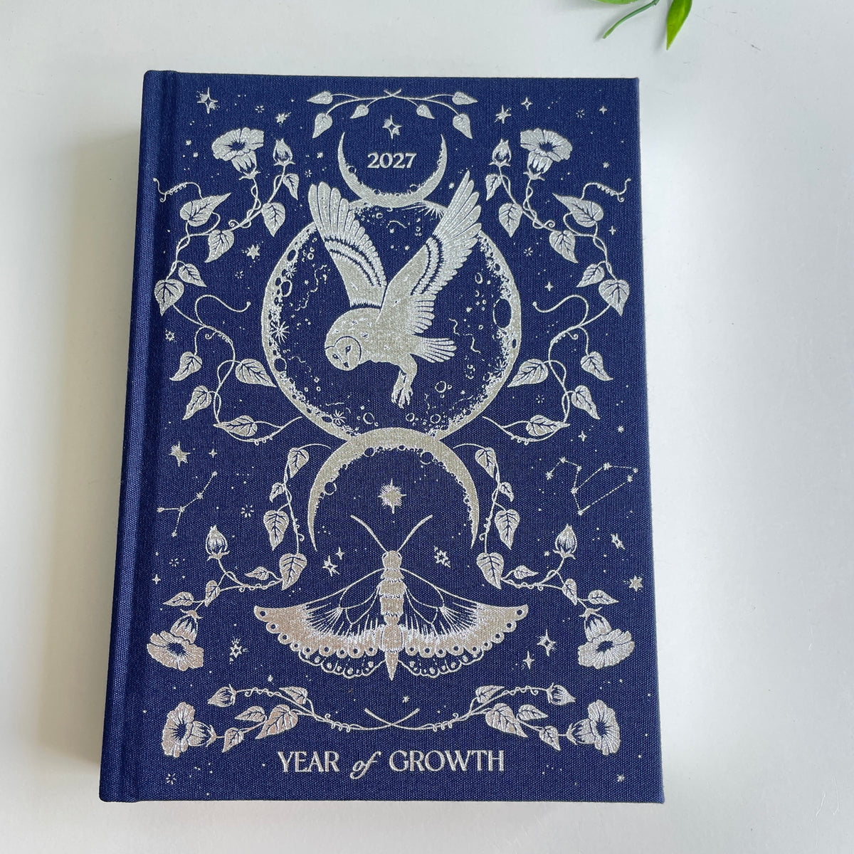 Dreamymoons 2027 Year Of Growth Midnight