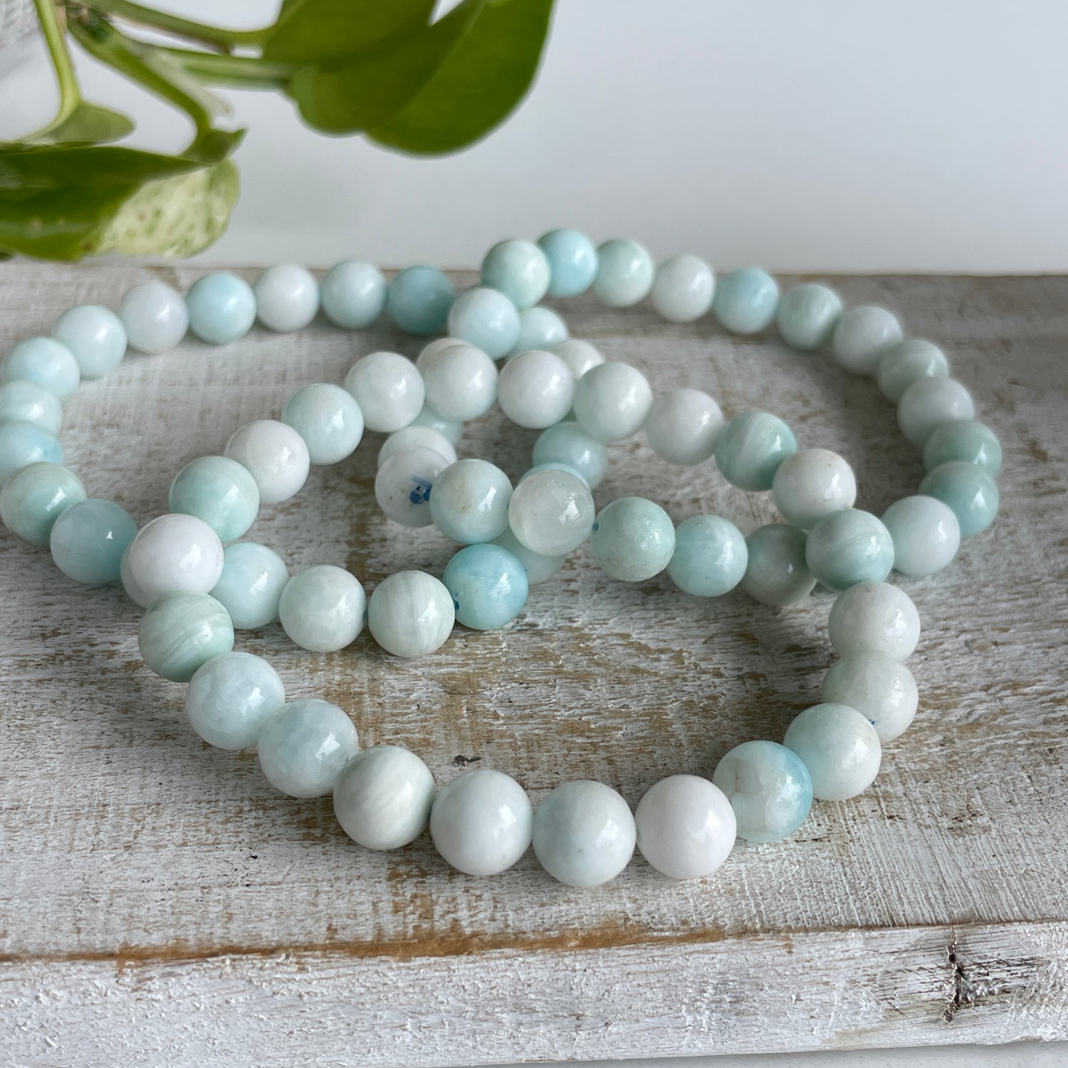 Aragonite Med Bracelet