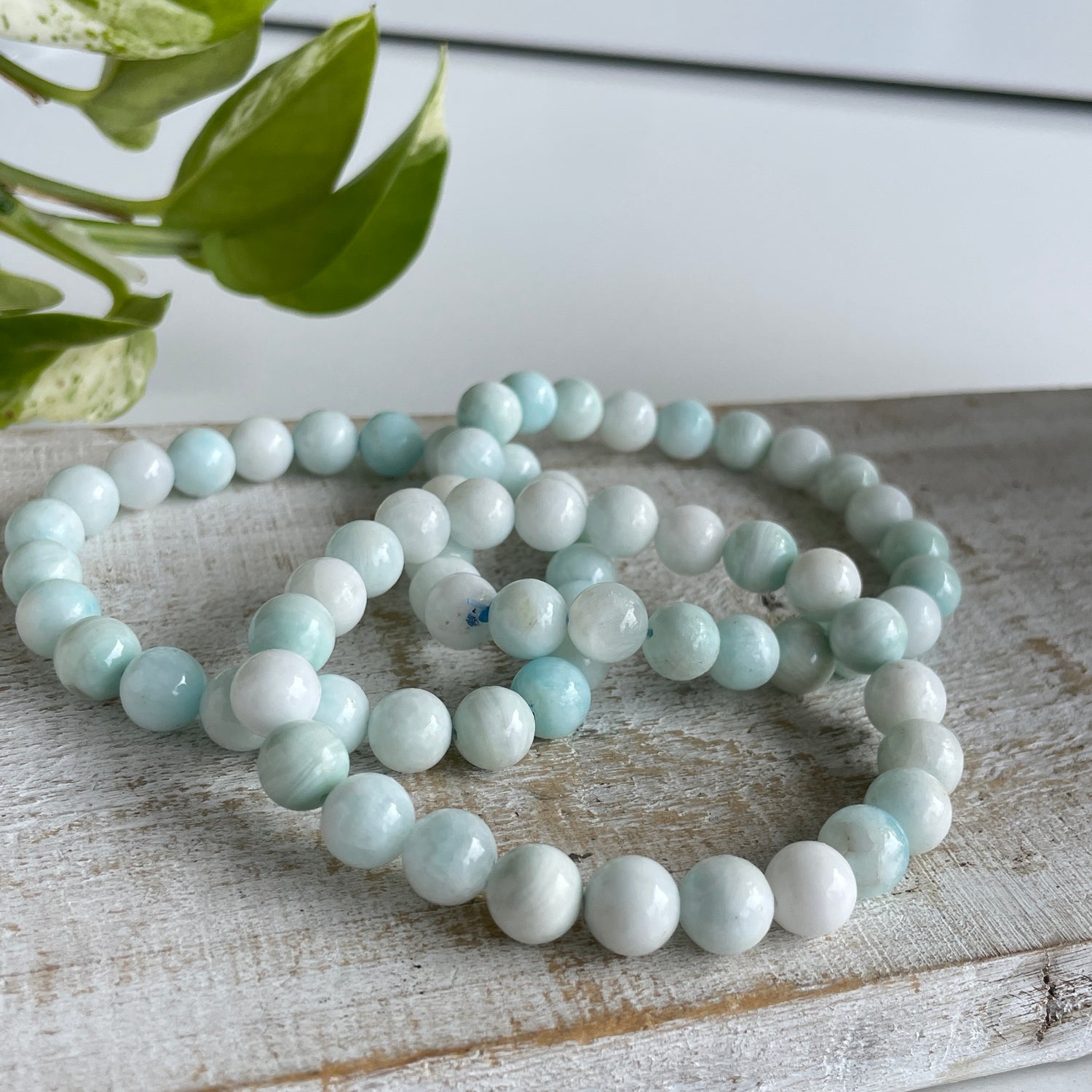 Aragonite Med Bracelet