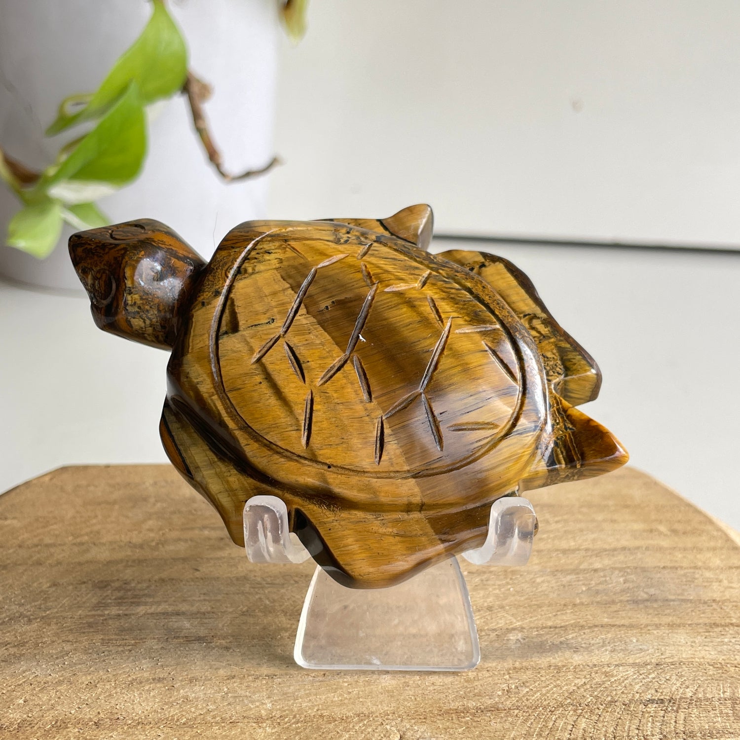 Tigers Eye Turtle 170g
