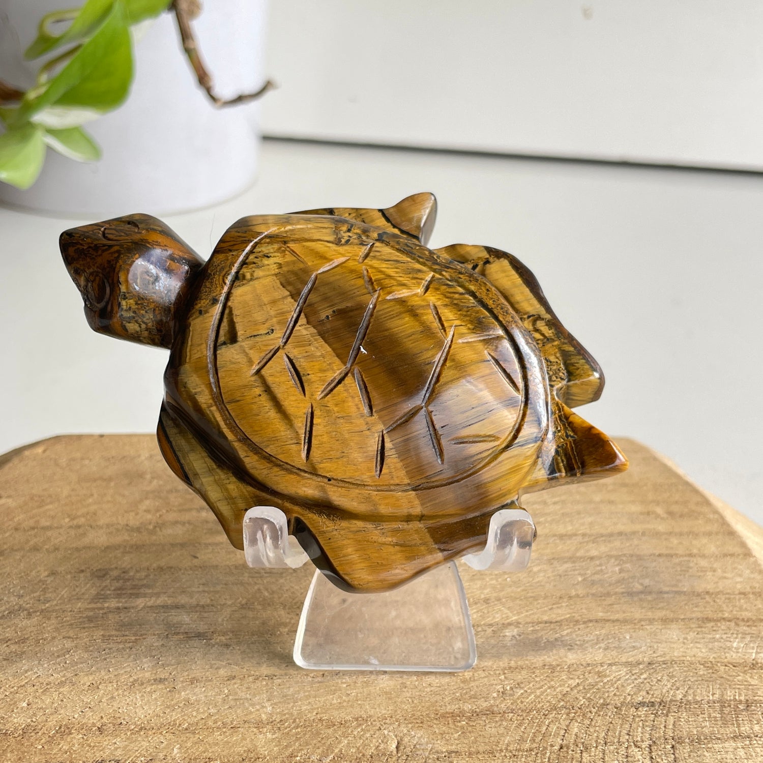 Tigers Eye Turtle 170g