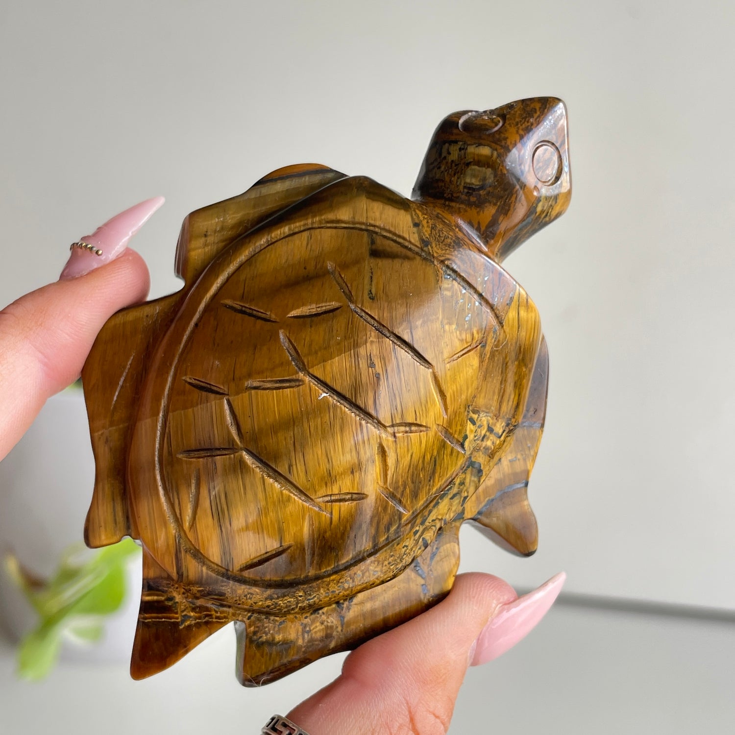 Tigers Eye Turtle 170g