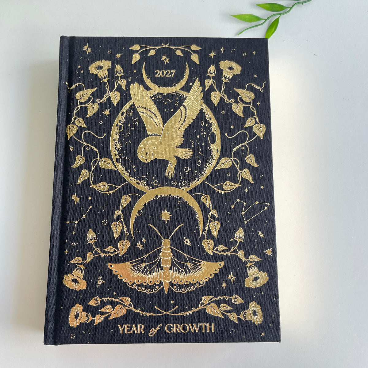 Dreamymoons 2027 Year Of Growth Black