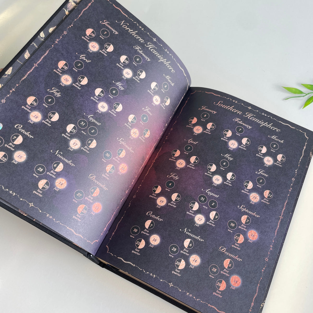 Dreamymoons 2027 Year Of Growth Black