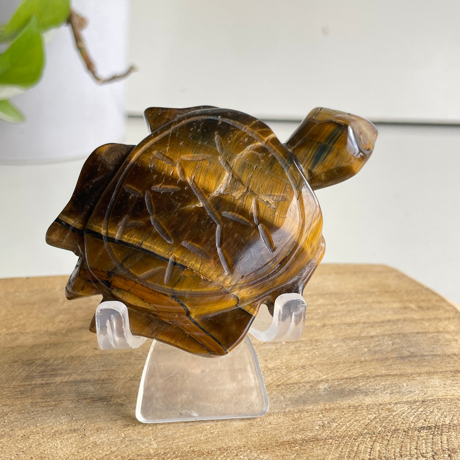 Tigers Eye Turtle 106g