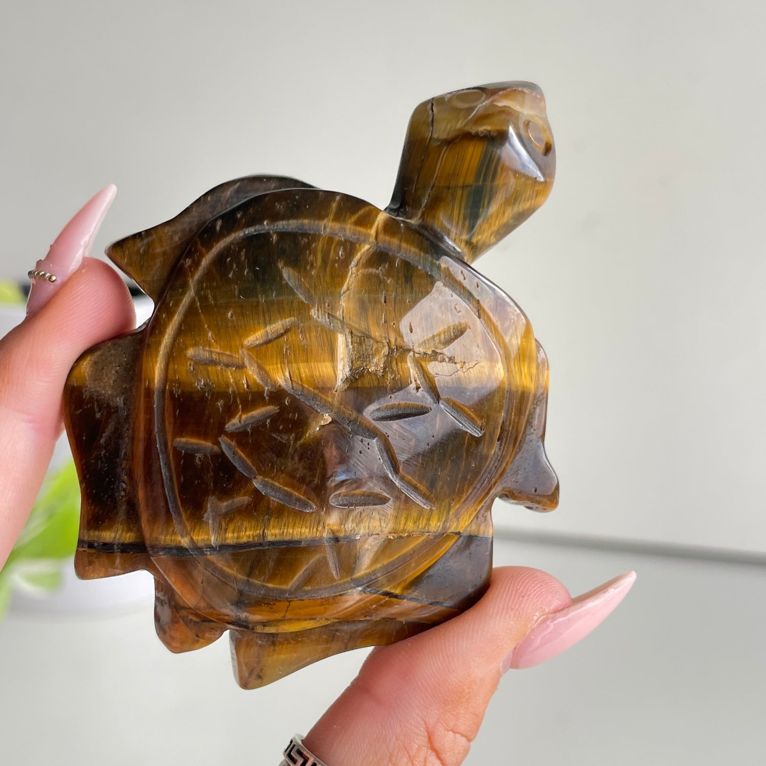 Tigers Eye Turtle 106g