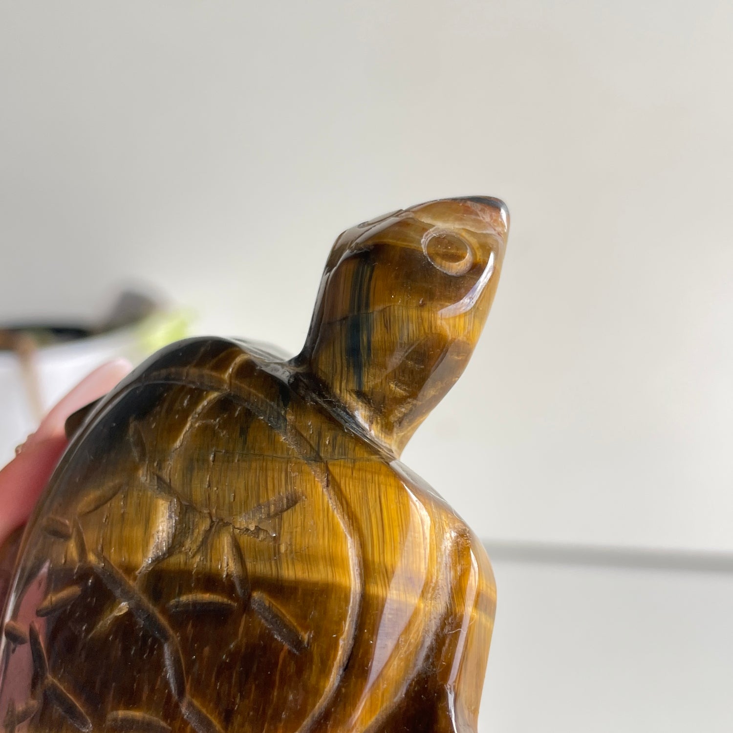 Tigers Eye Turtle 106g