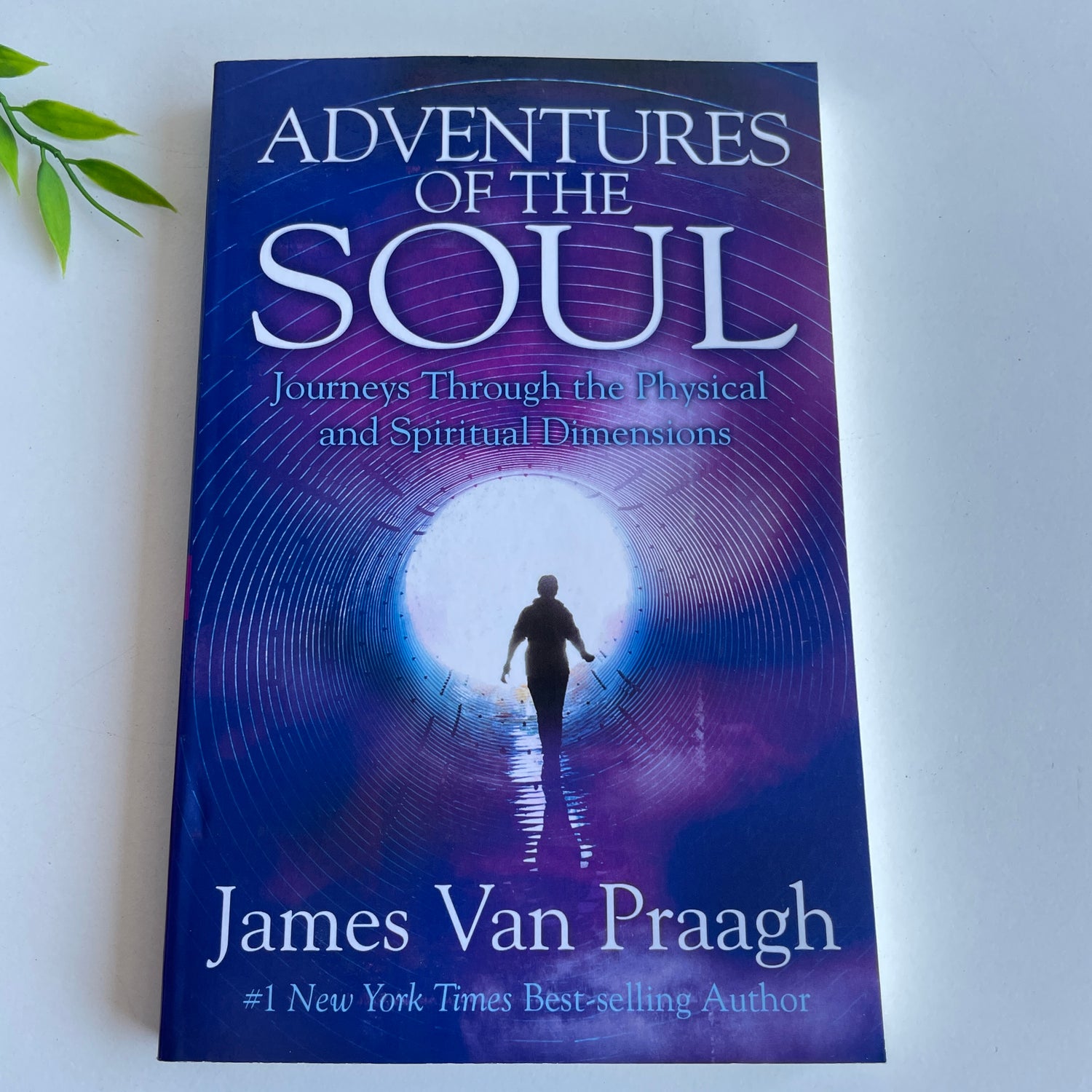 James Van Praagh Adventures of the Soul