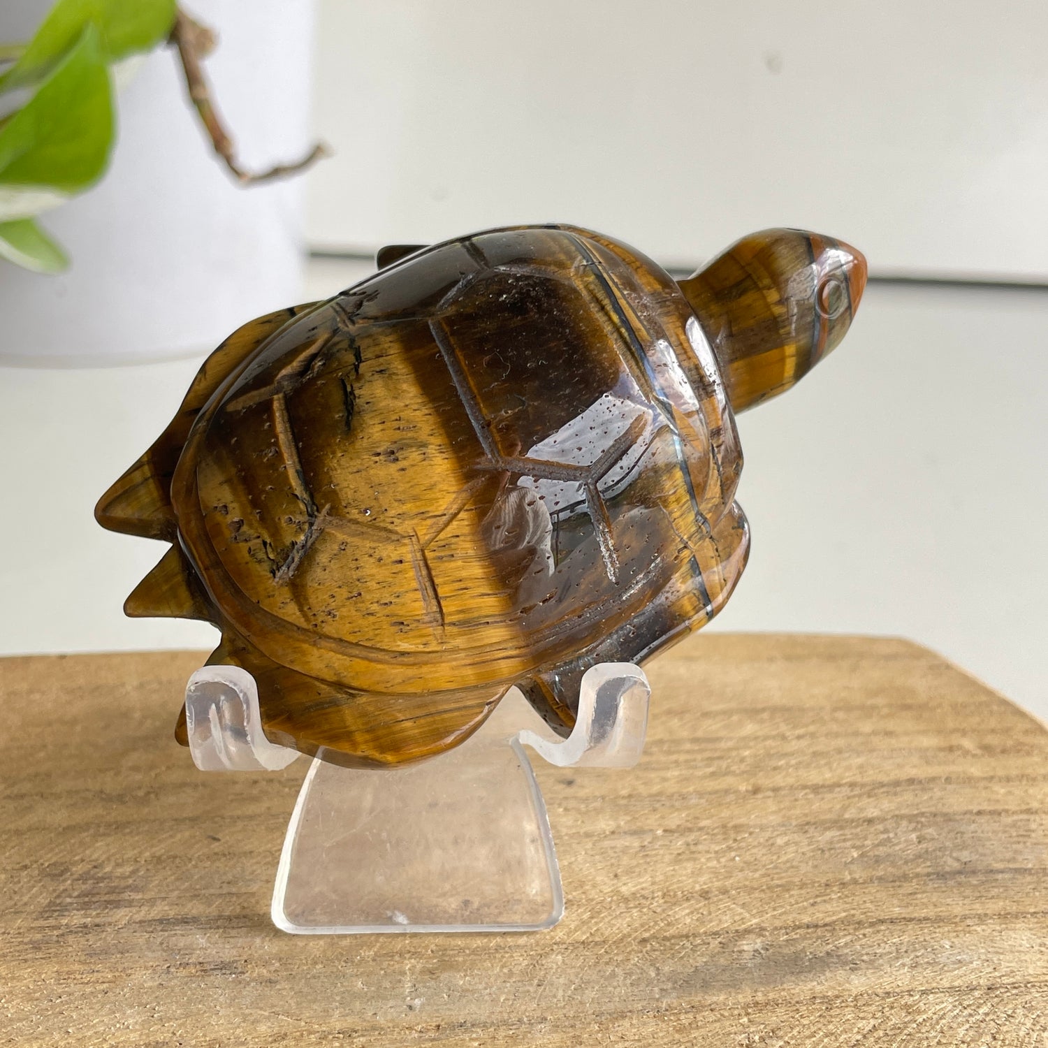 Tigers Eye Turtle 142g