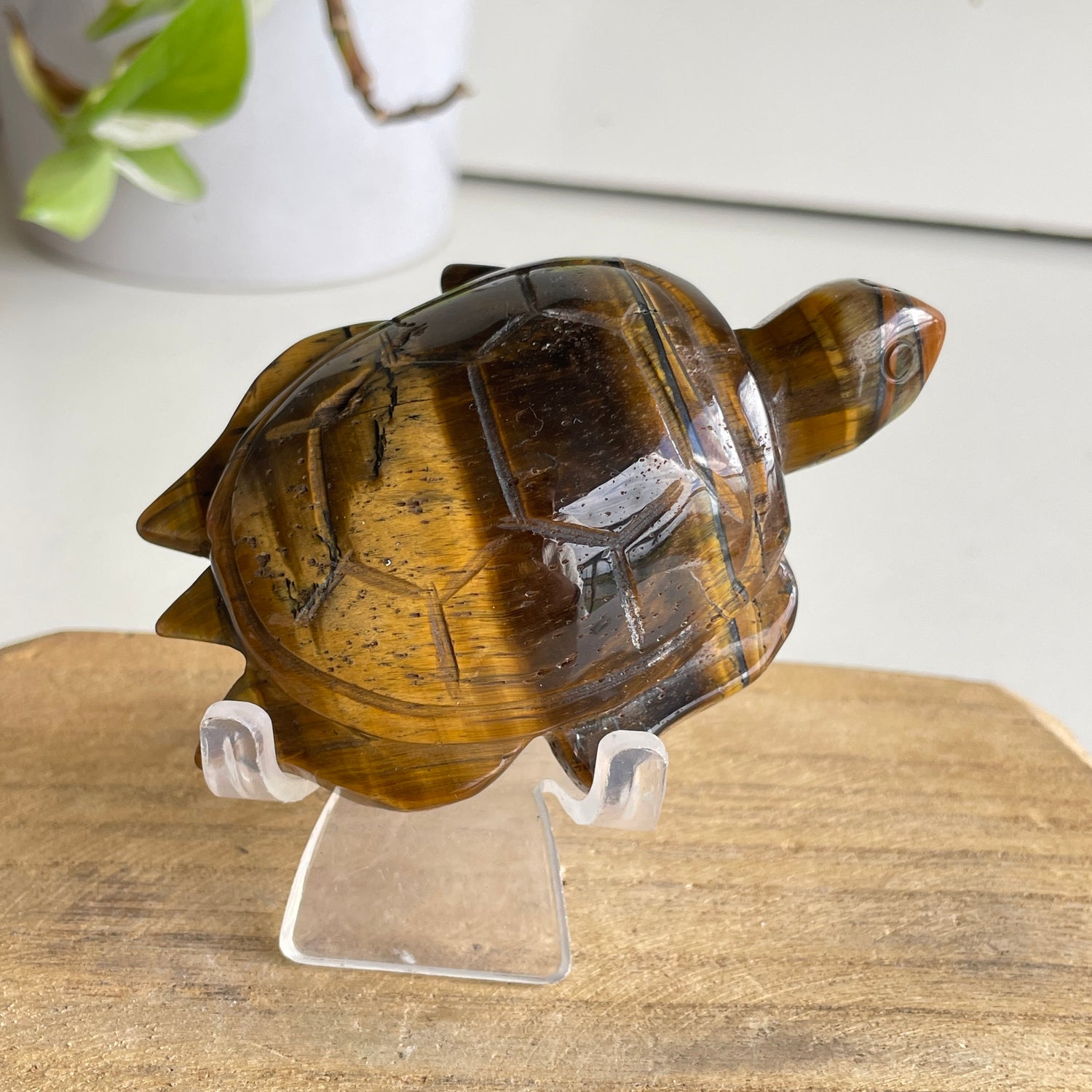 Tigers Eye Turtle 142g