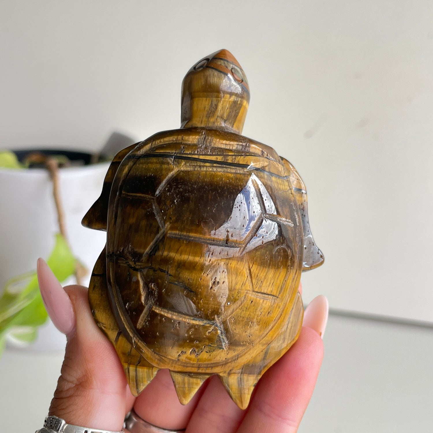 Tigers Eye Turtle 142g