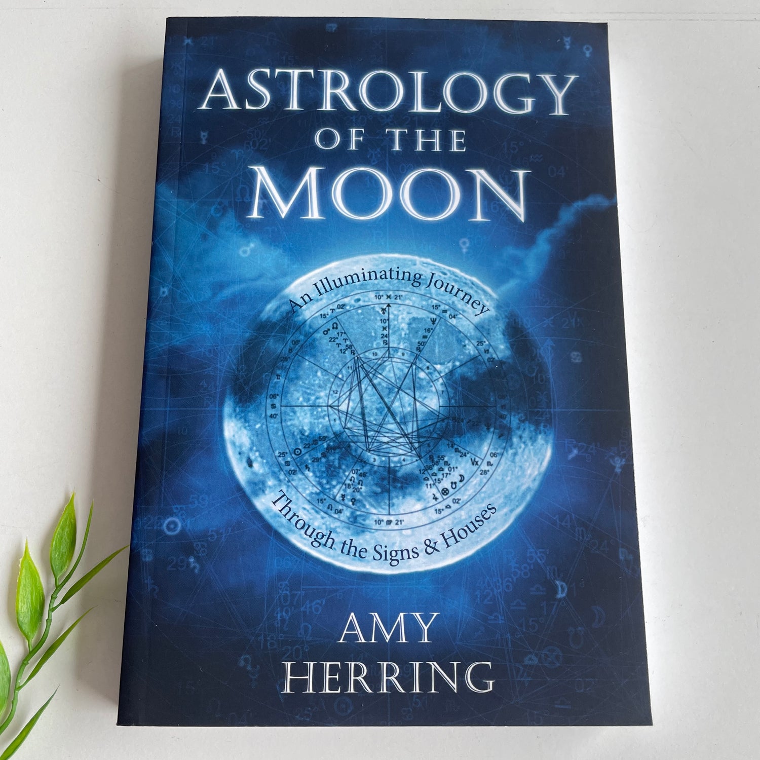 Astrology Of The Moon Amy Herring