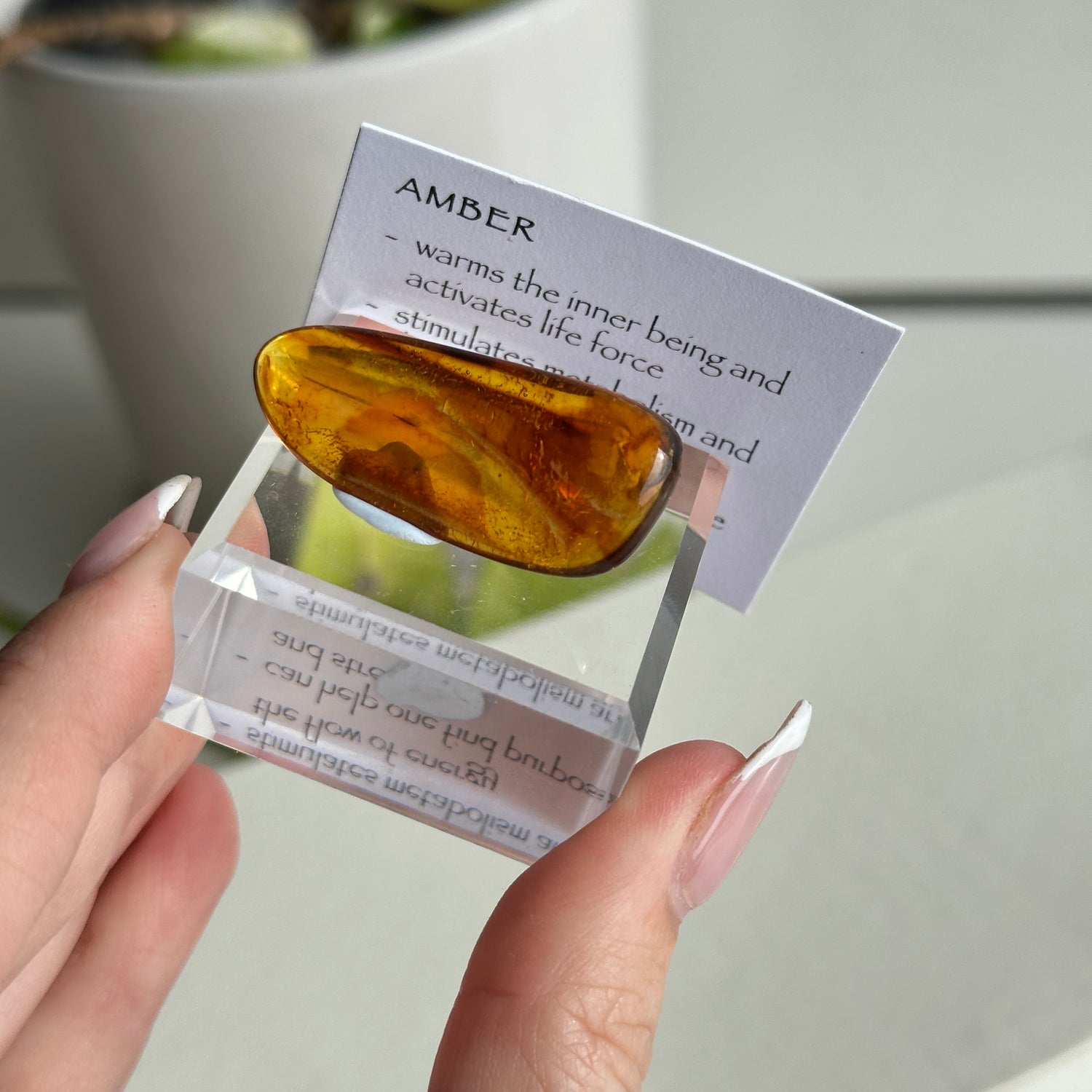 Amber Pc
