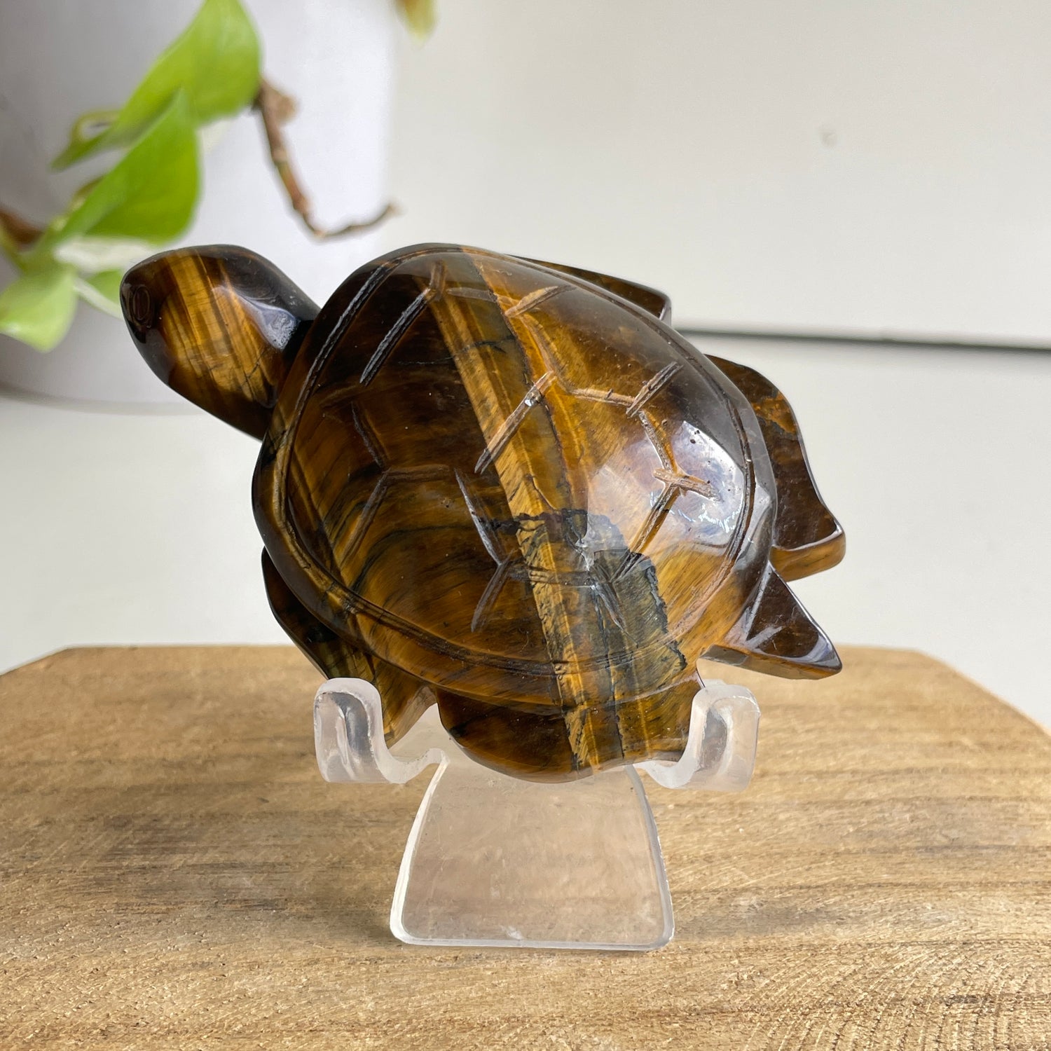Tigers Eye Turtle 148g