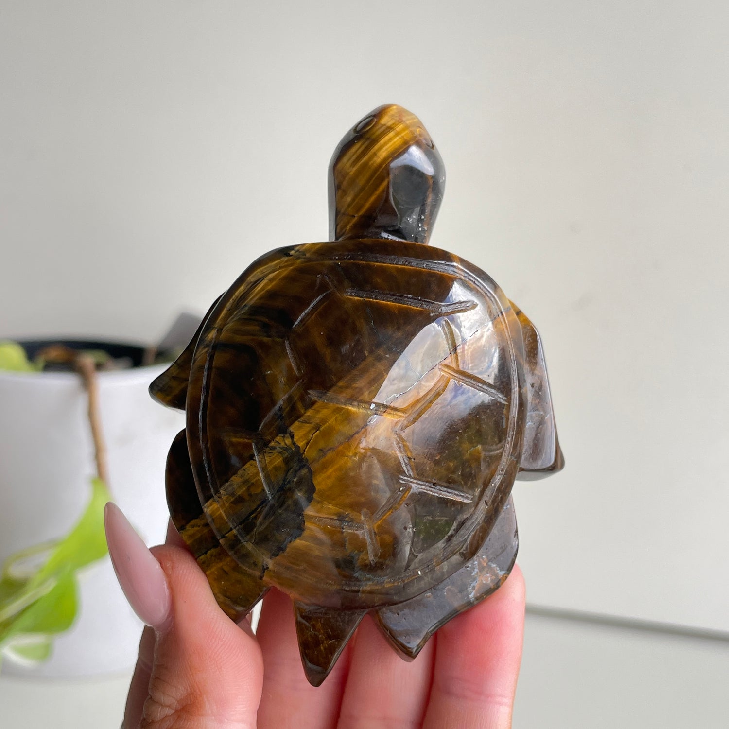 Tigers Eye Turtle 148g
