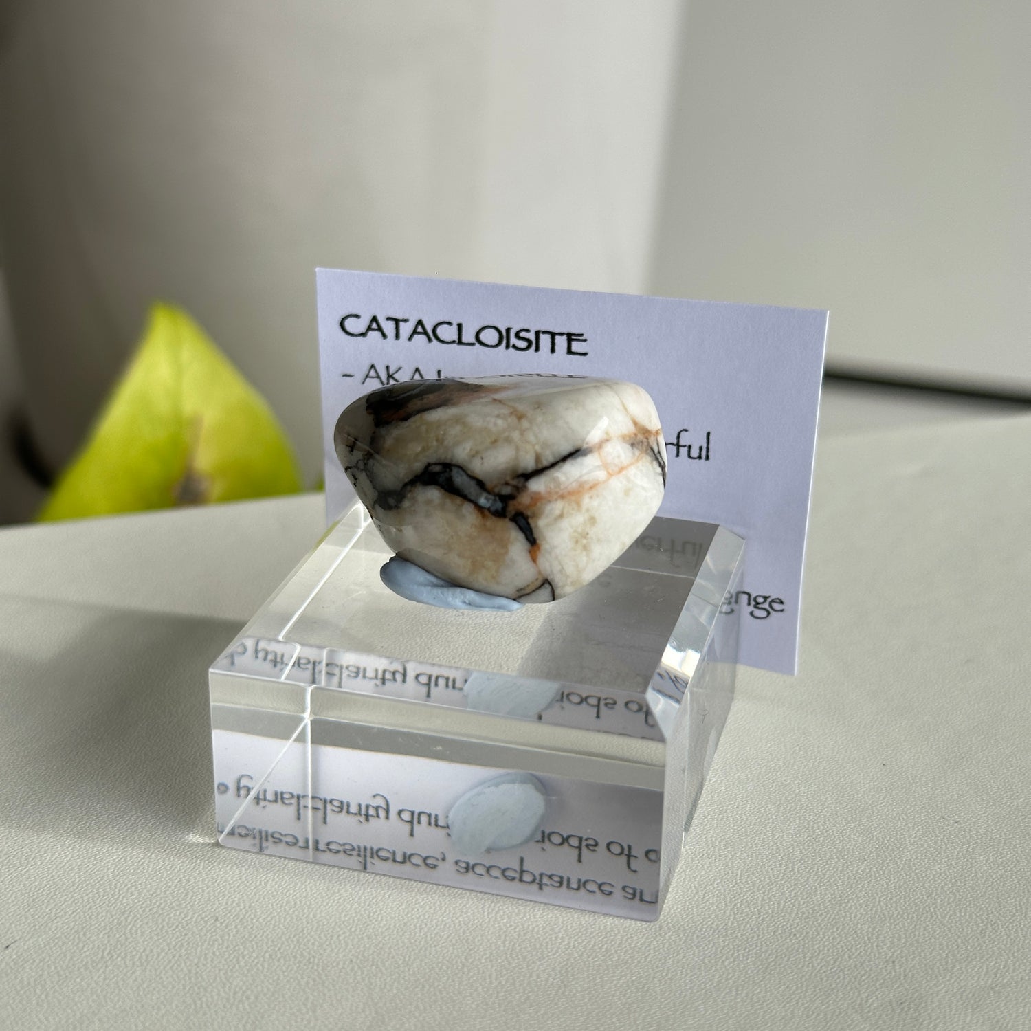 Catacloisite Pc