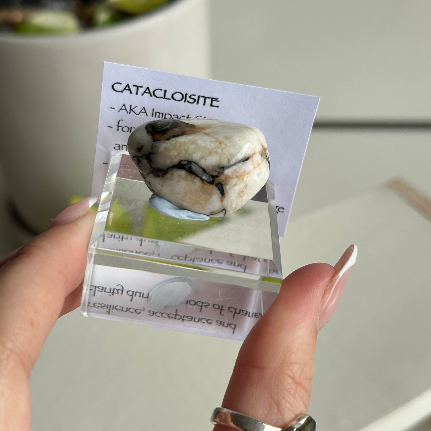 Catacloisite Pc