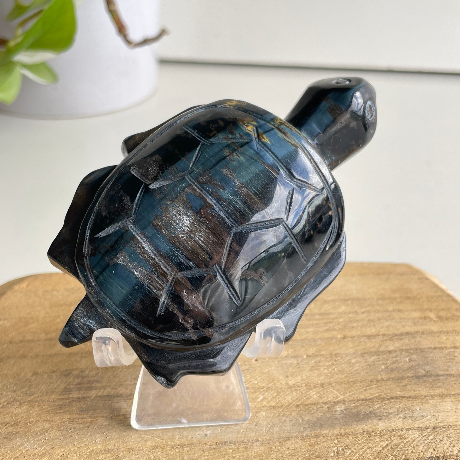 Blue Tigers Eye Turtle 204g
