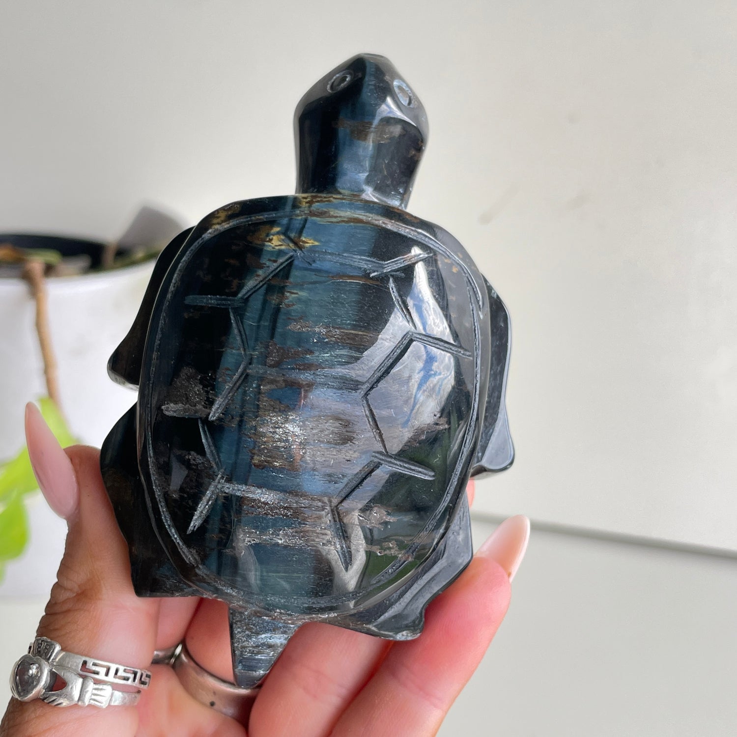 Blue Tigers Eye Turtle 204g