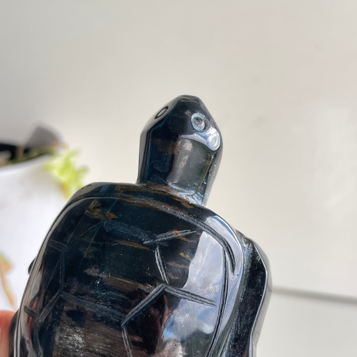 Blue Tigers Eye Turtle 204g
