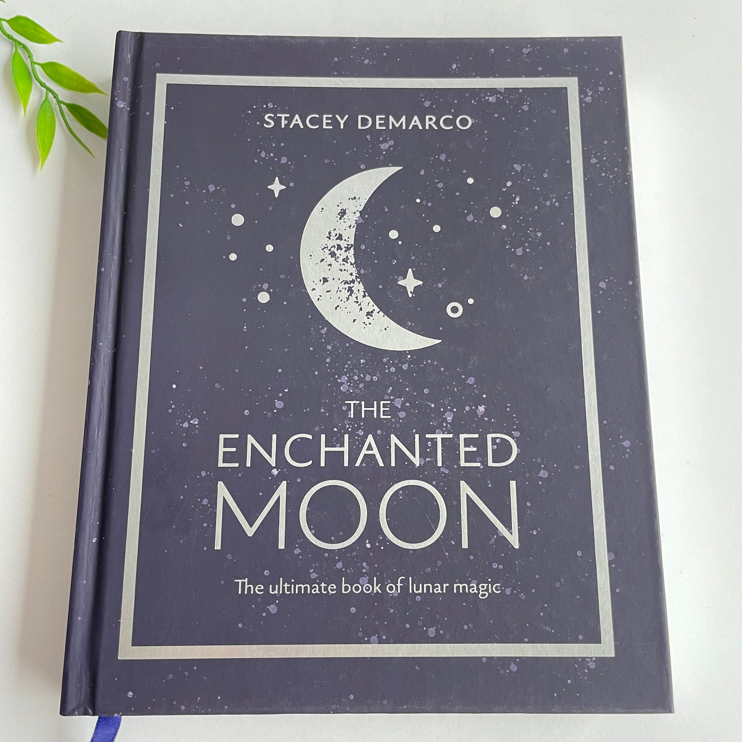 The Enchanted Moon Stacey Demarco