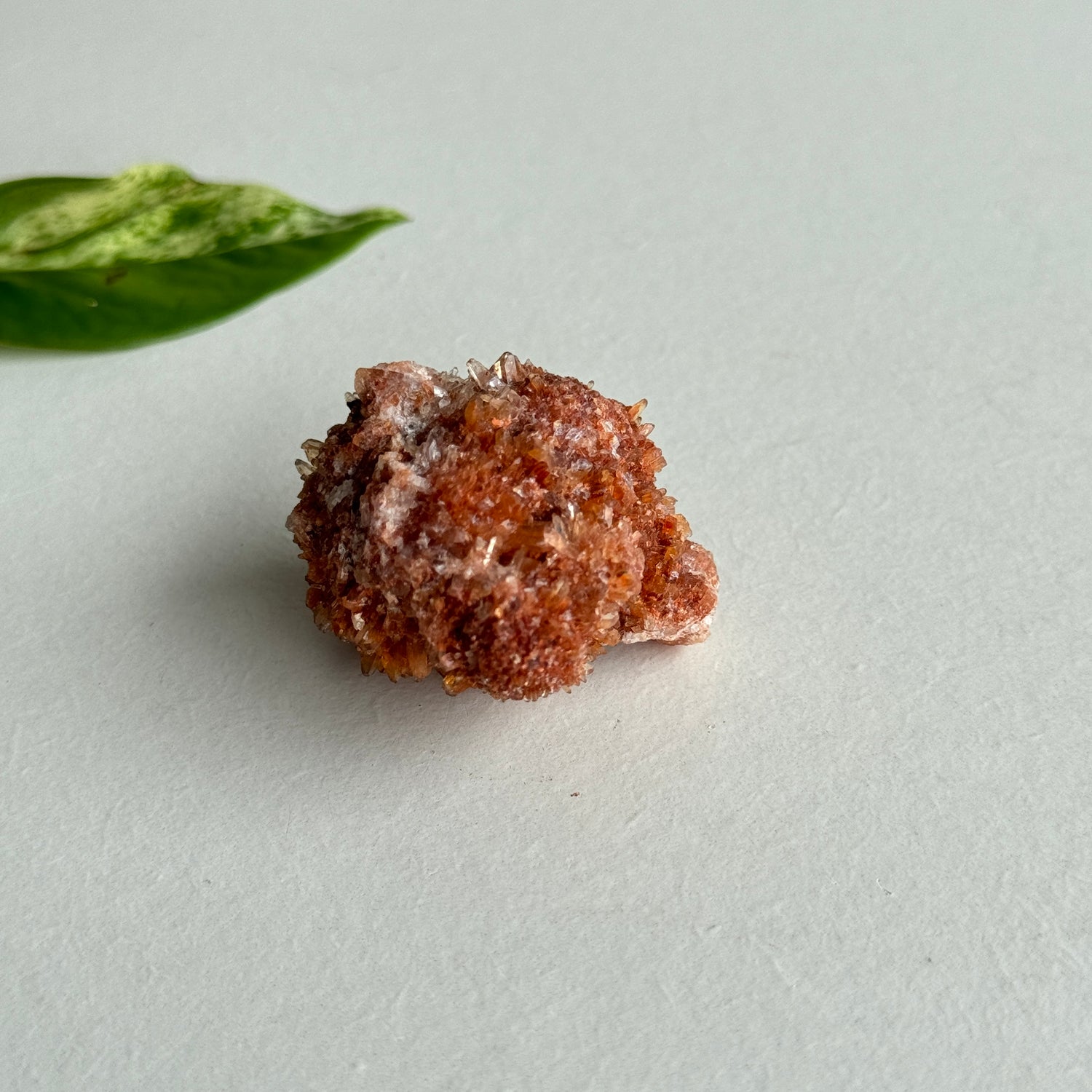 Creedite Pce 34g