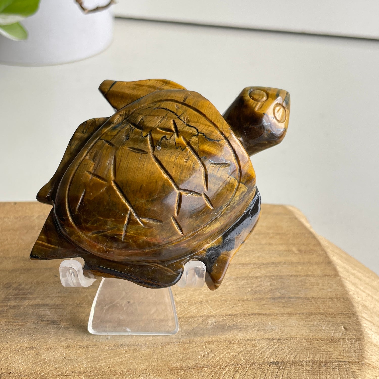 Tigers Eye Turtle 180g
