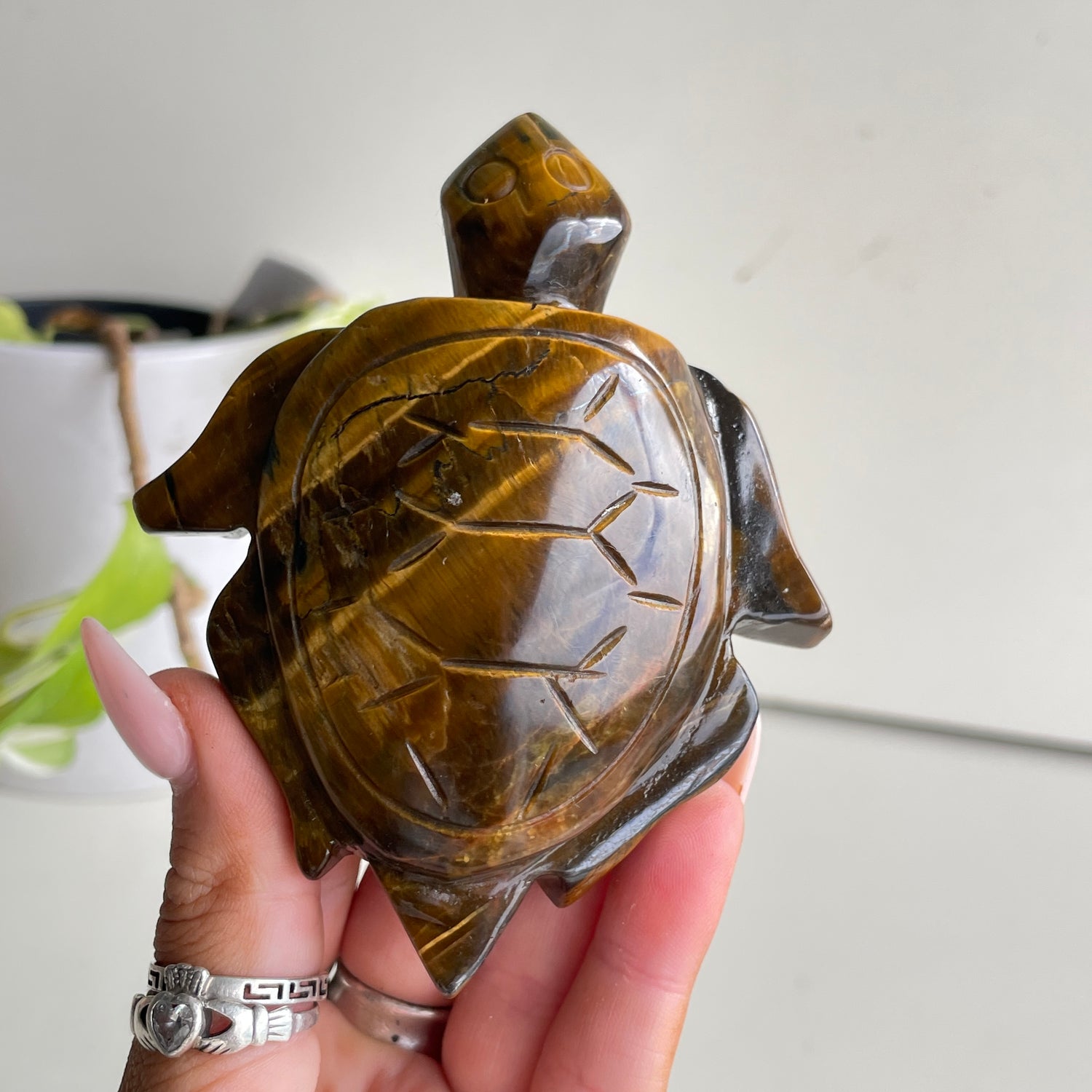 Tigers Eye Turtle 180g