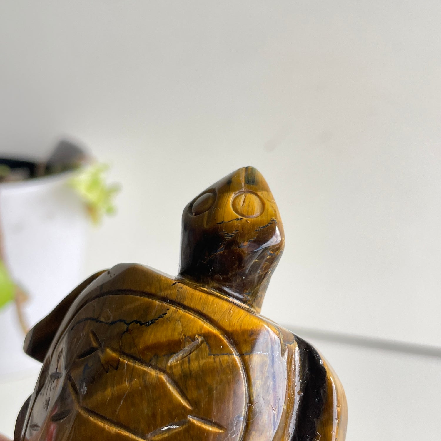 Tigers Eye Turtle 180g