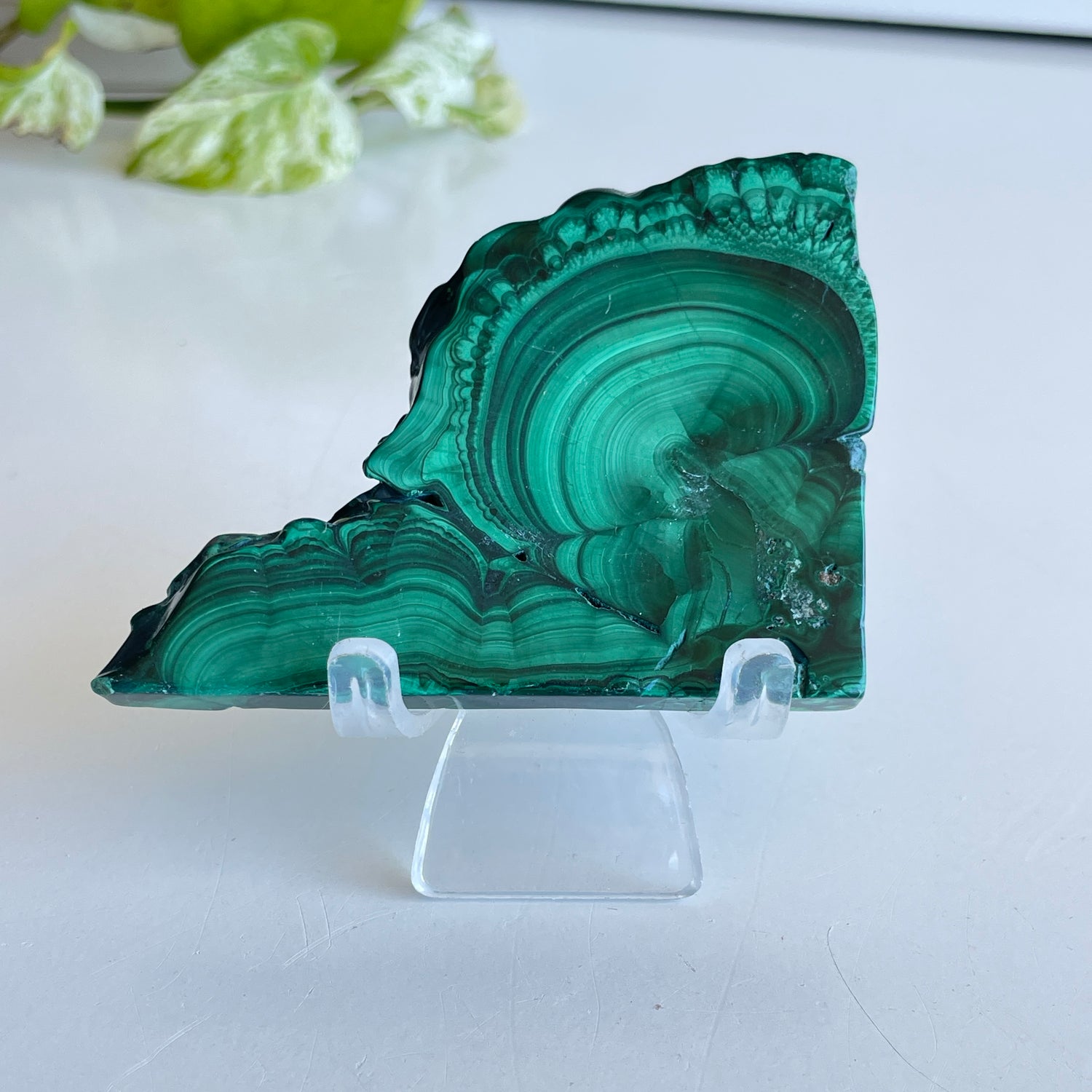 Malachite Slice 88g