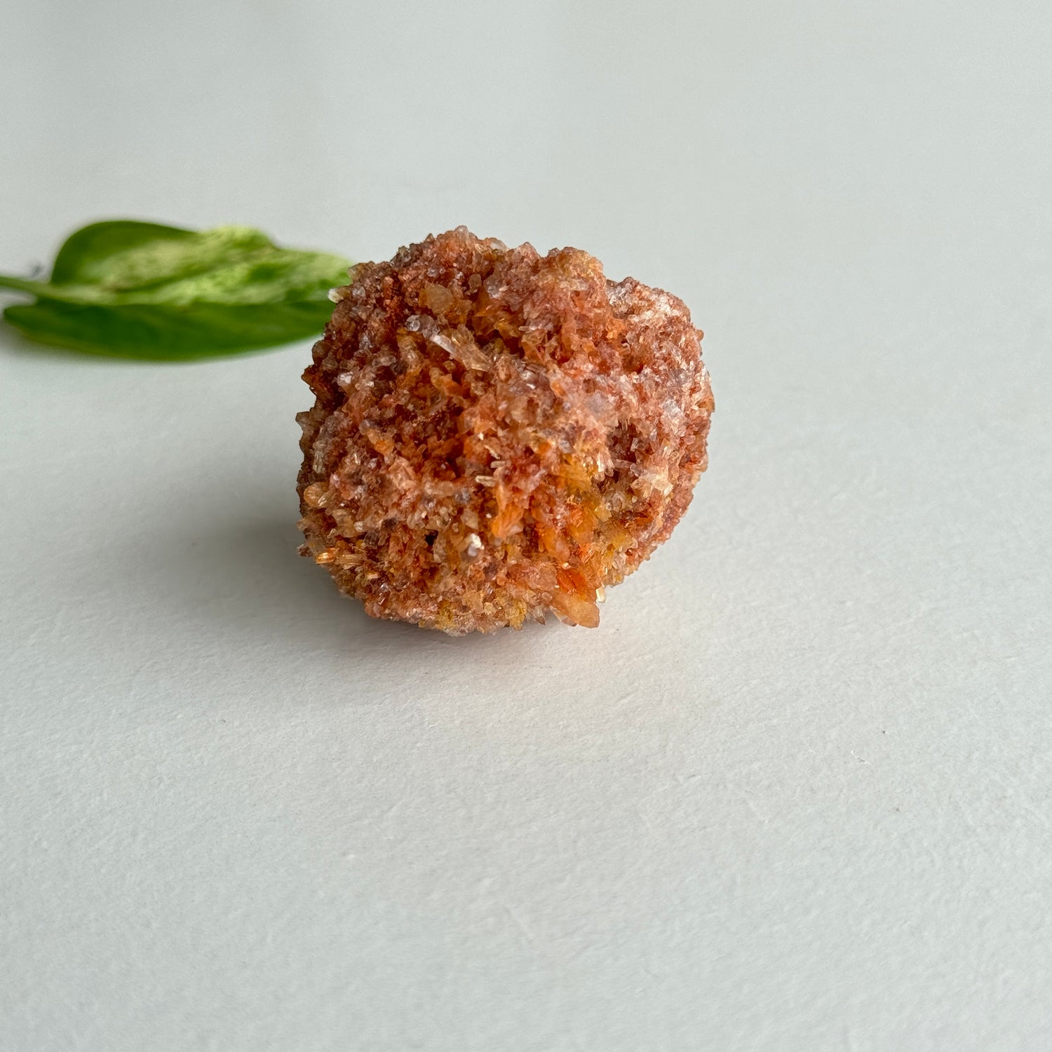Creedite Pce 54g