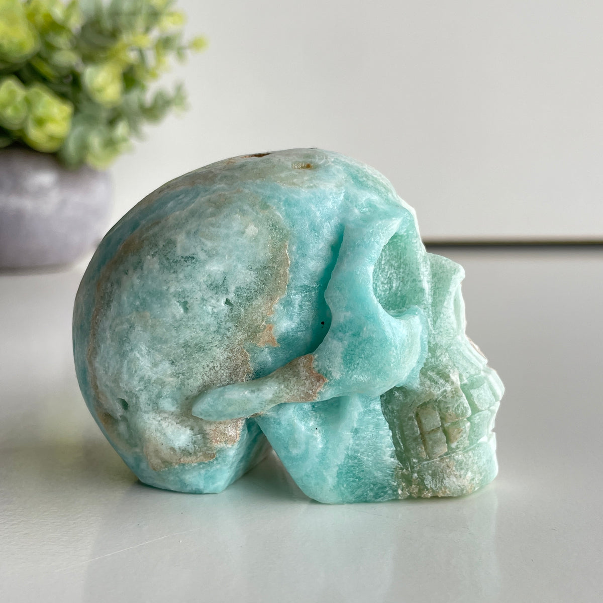 Aragonite Skull 7.5cm