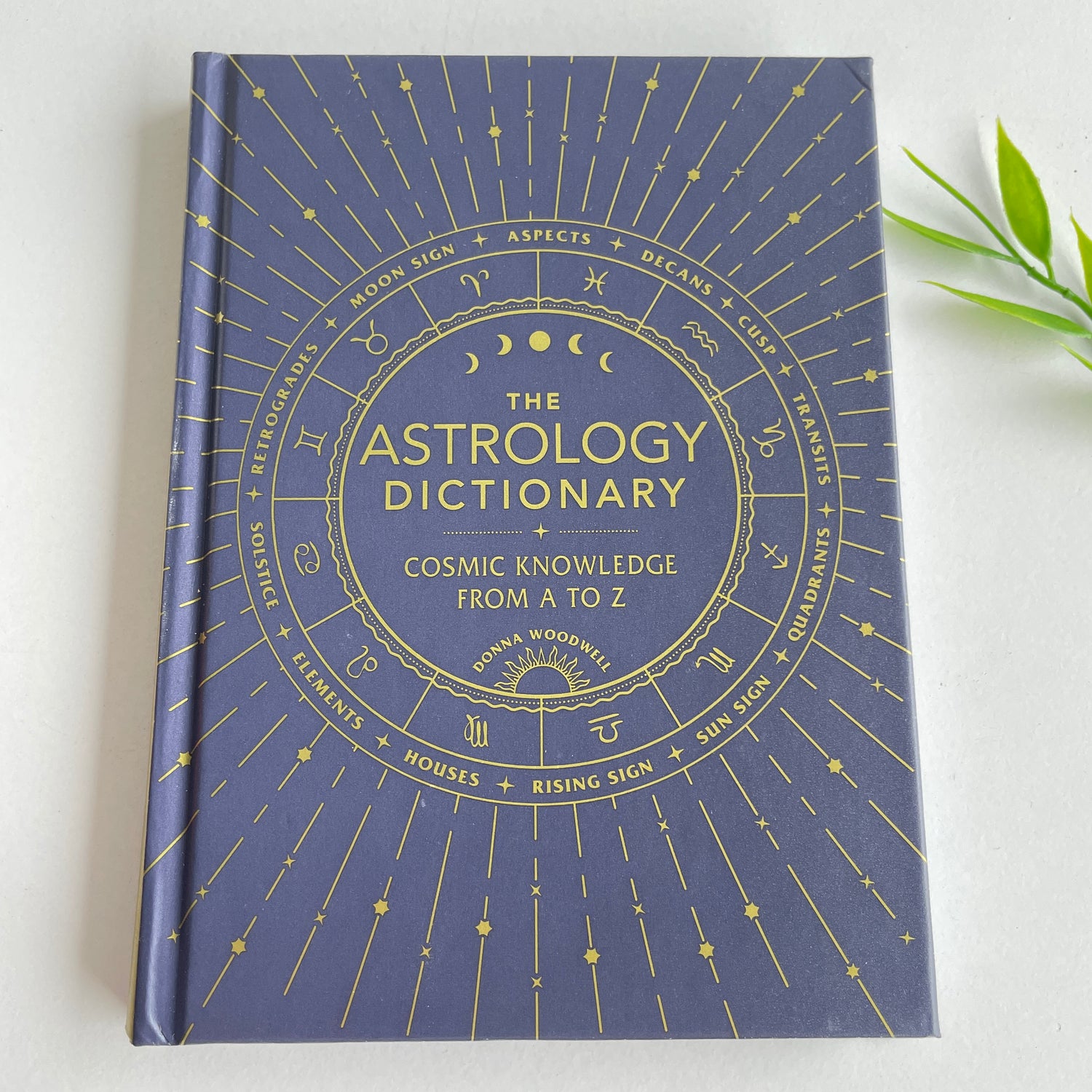 The Astrology Dictionary Donna Woodwell