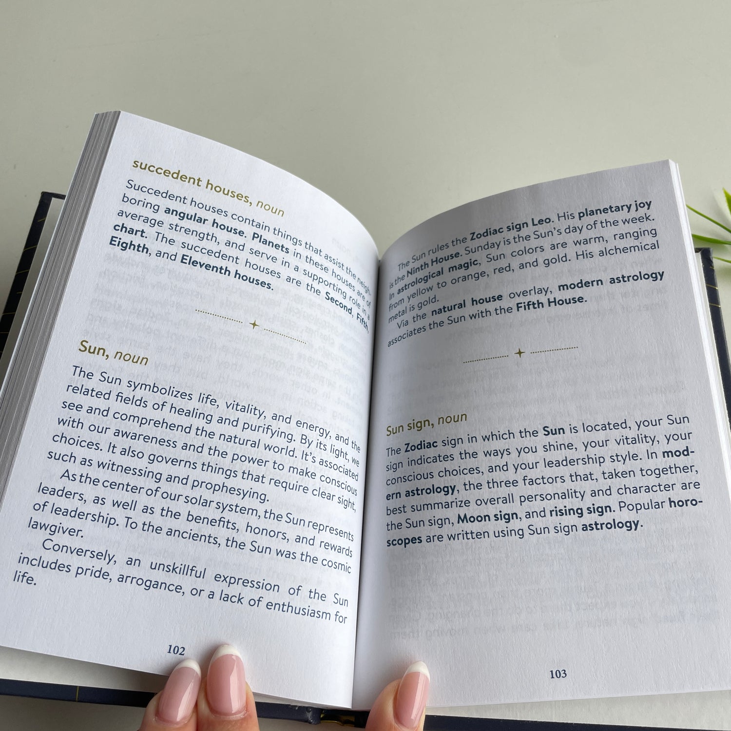 The Astrology Dictionary Donna Woodwell