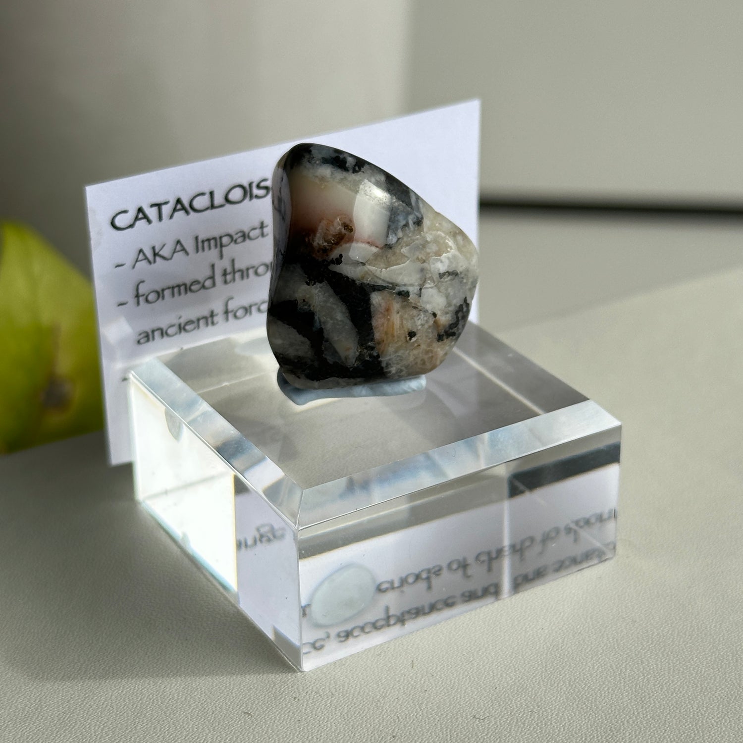 Catacloisite Pc