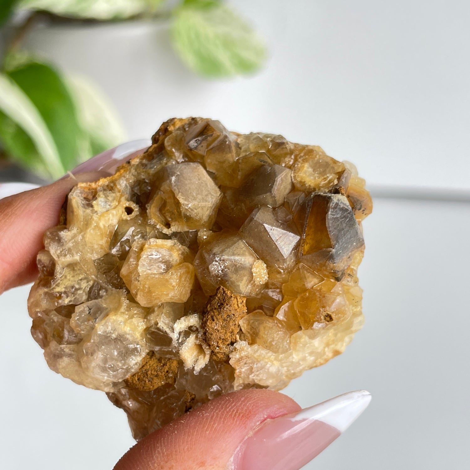 Limonite Quartz Cluster 56g