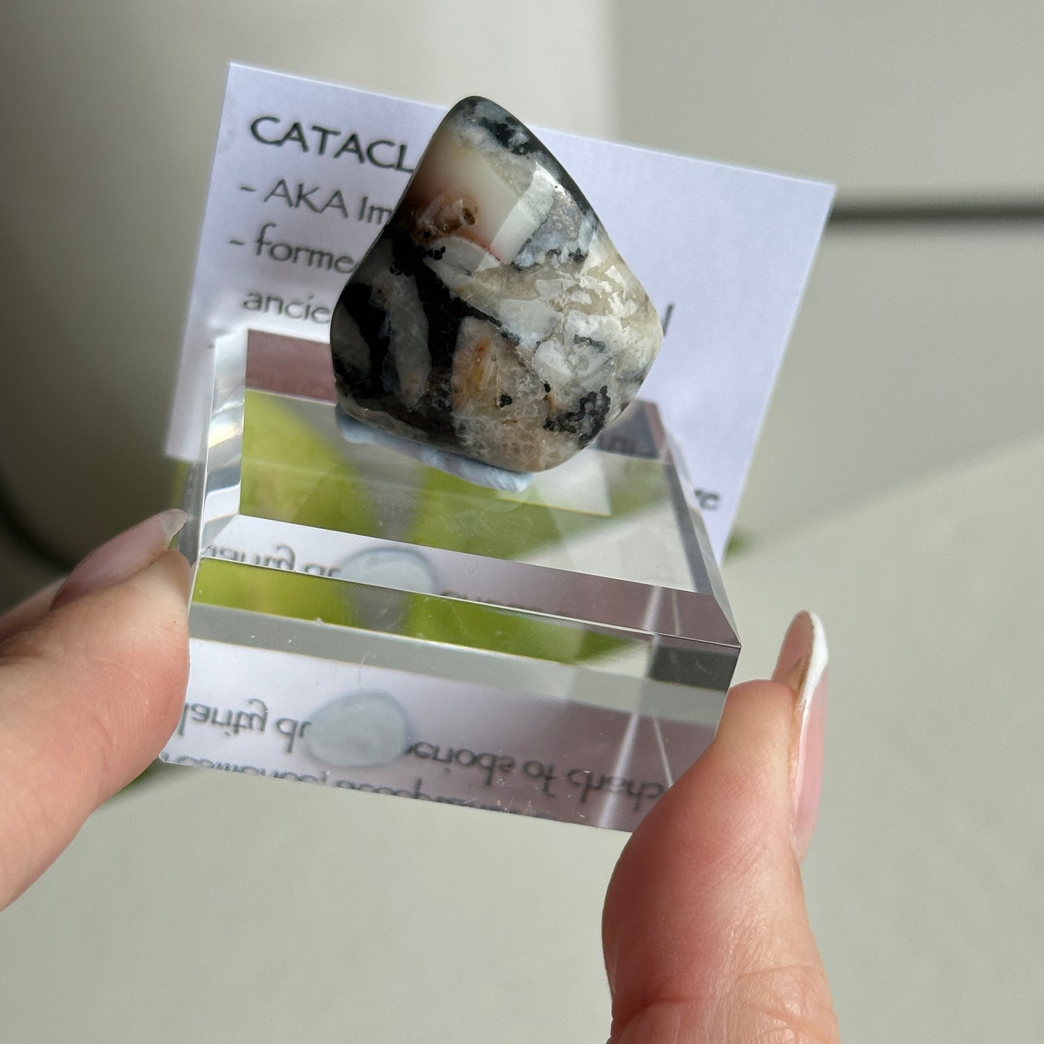Catacloisite Pc