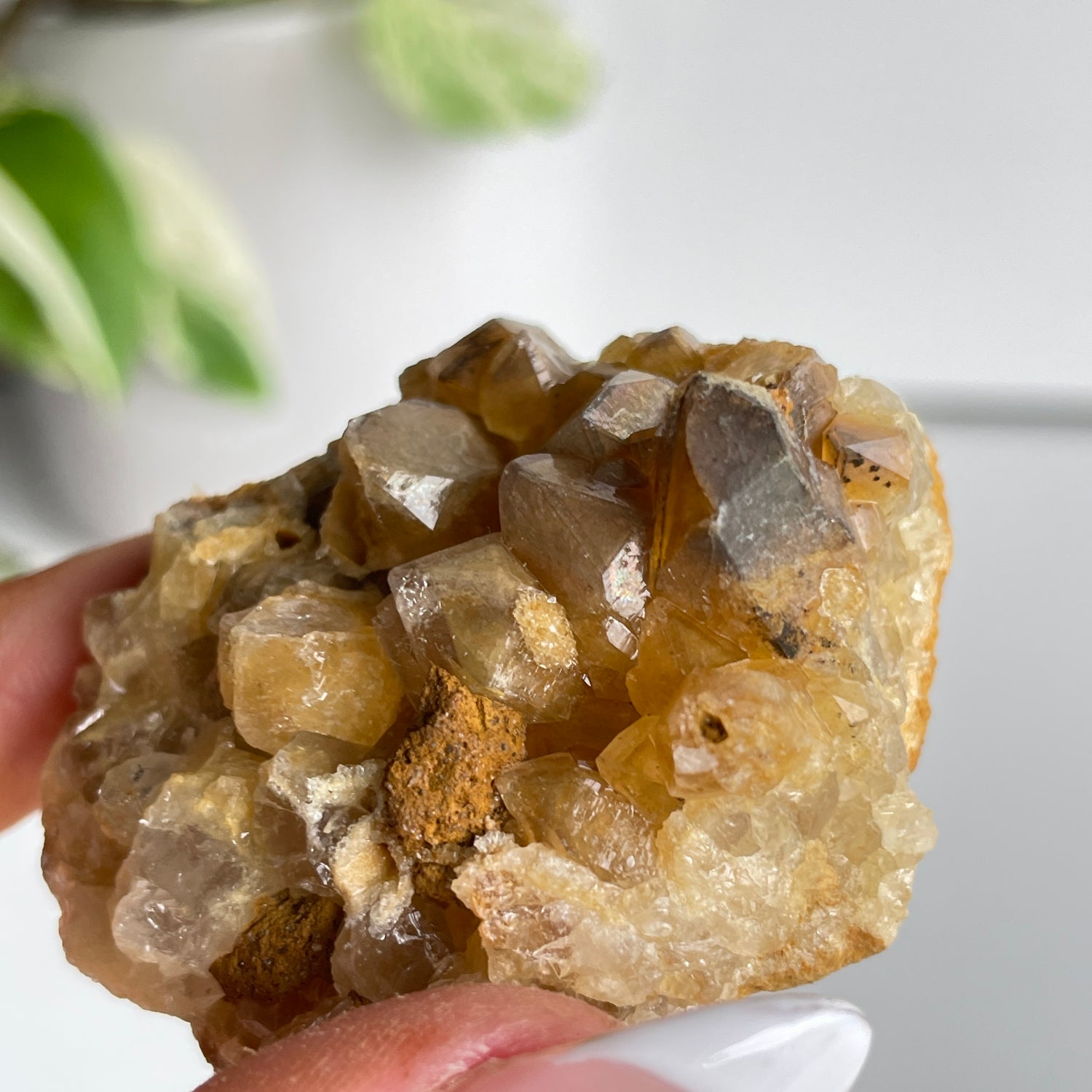 Limonite Quartz Cluster 56g