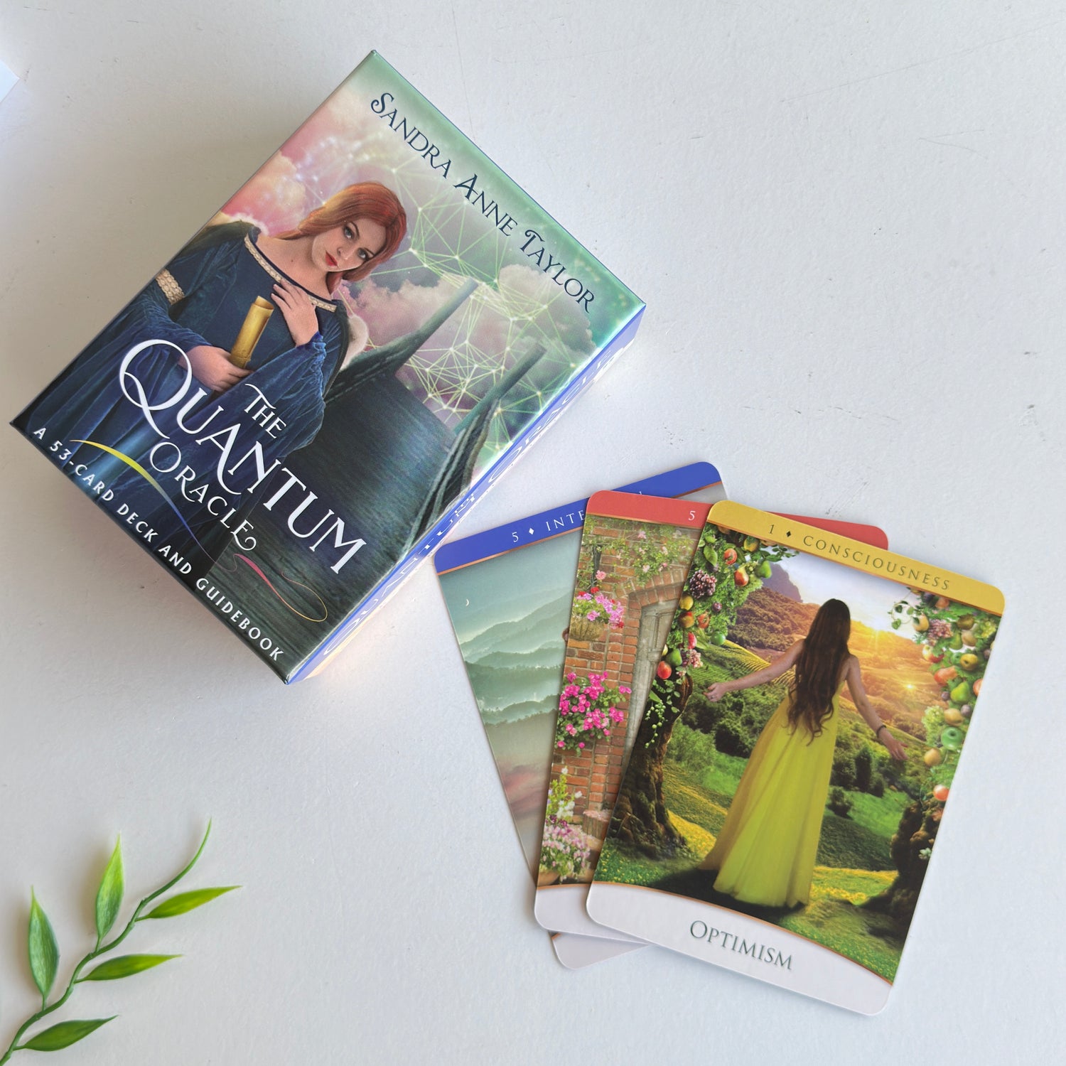 The Quantum Oracle Cards Sandra Anne Taylor