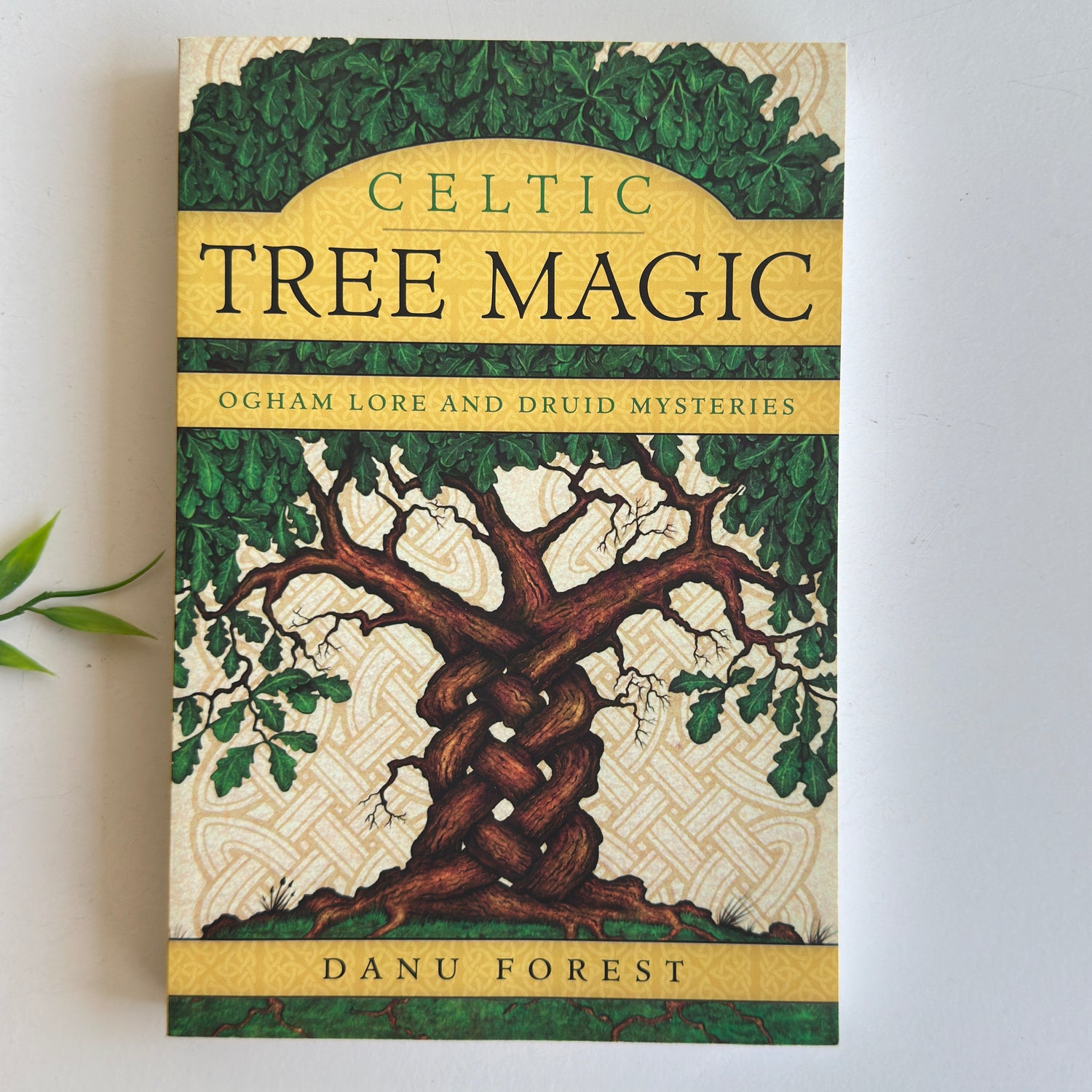 Celtic Tree Magic Danu Forest
