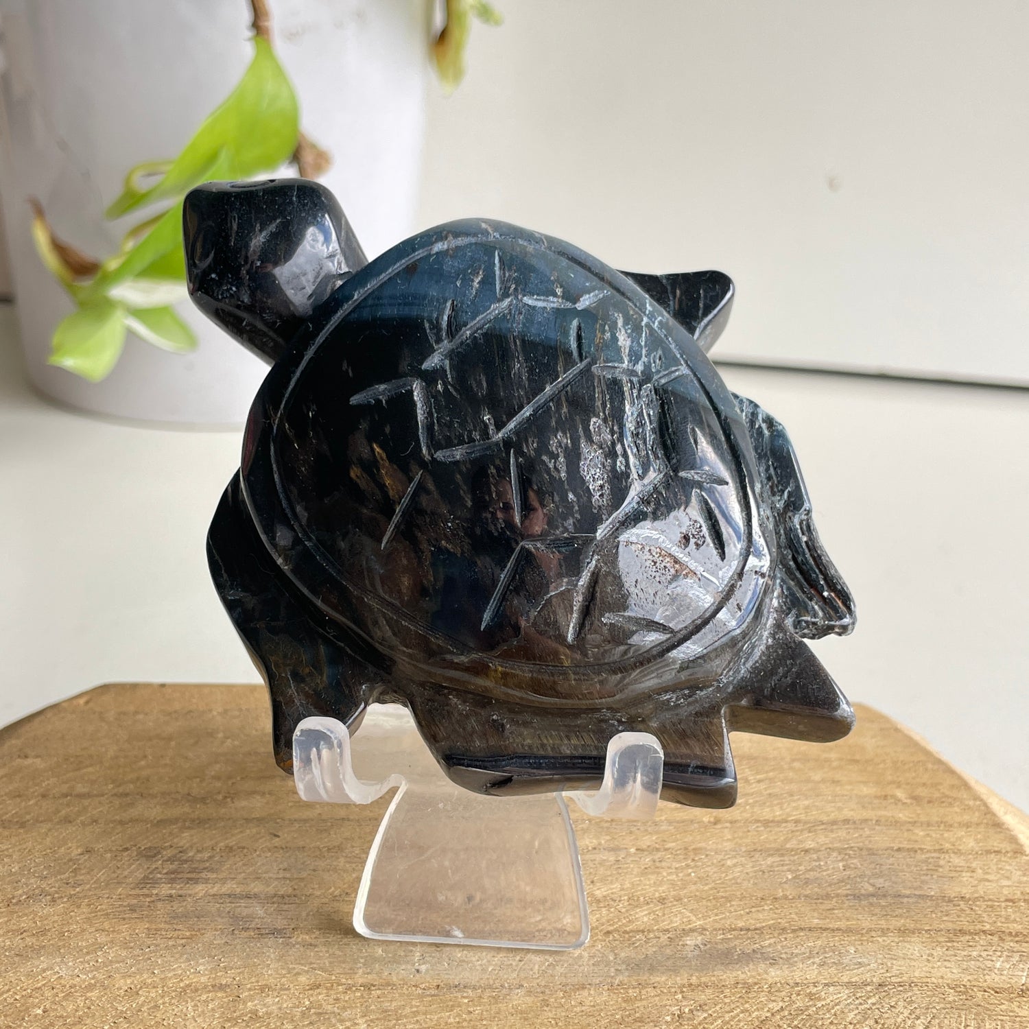 Blue Tigers Eye Turtle 262g