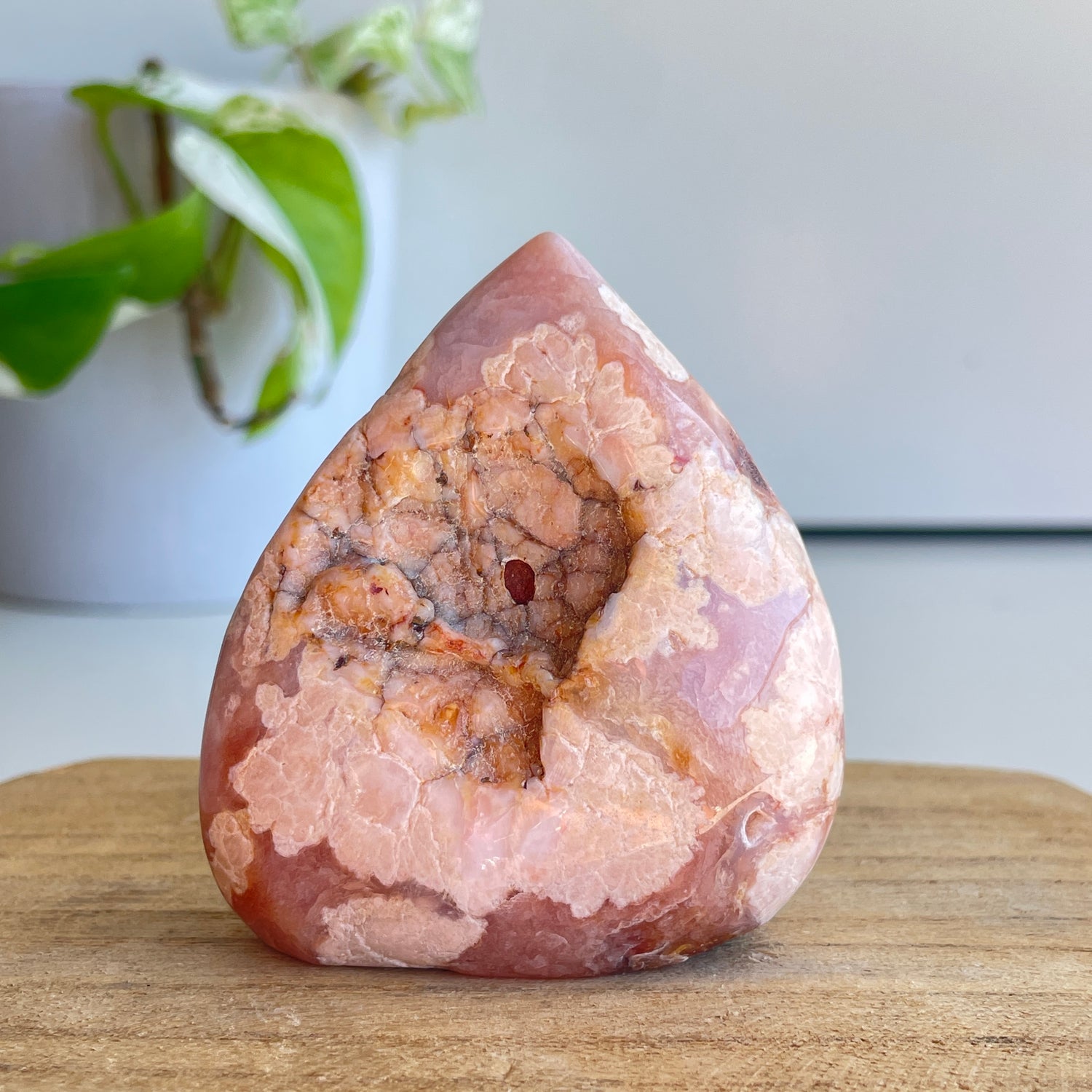 Flower Agate Flame 6.9cm