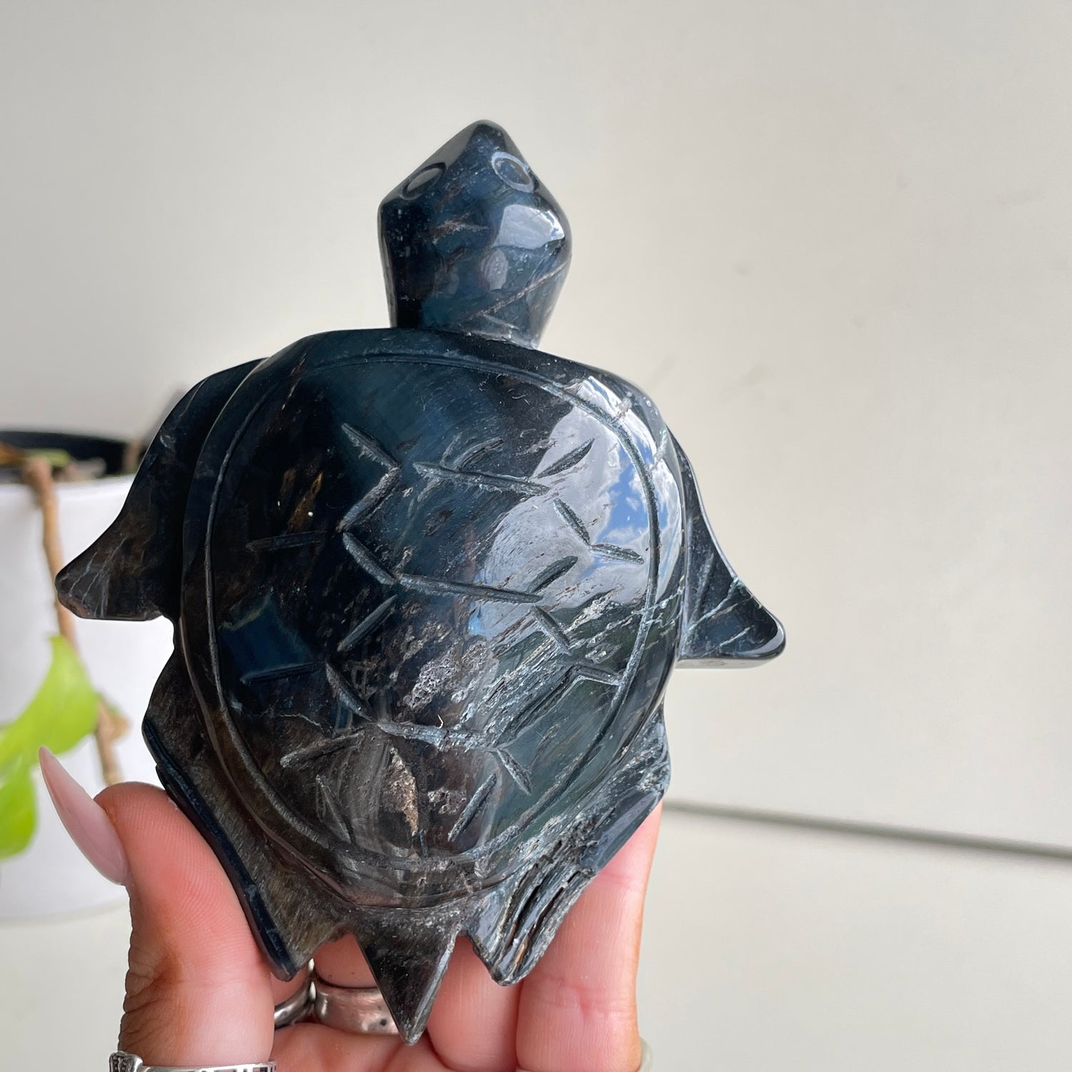 Blue Tigers Eye Turtle 262g