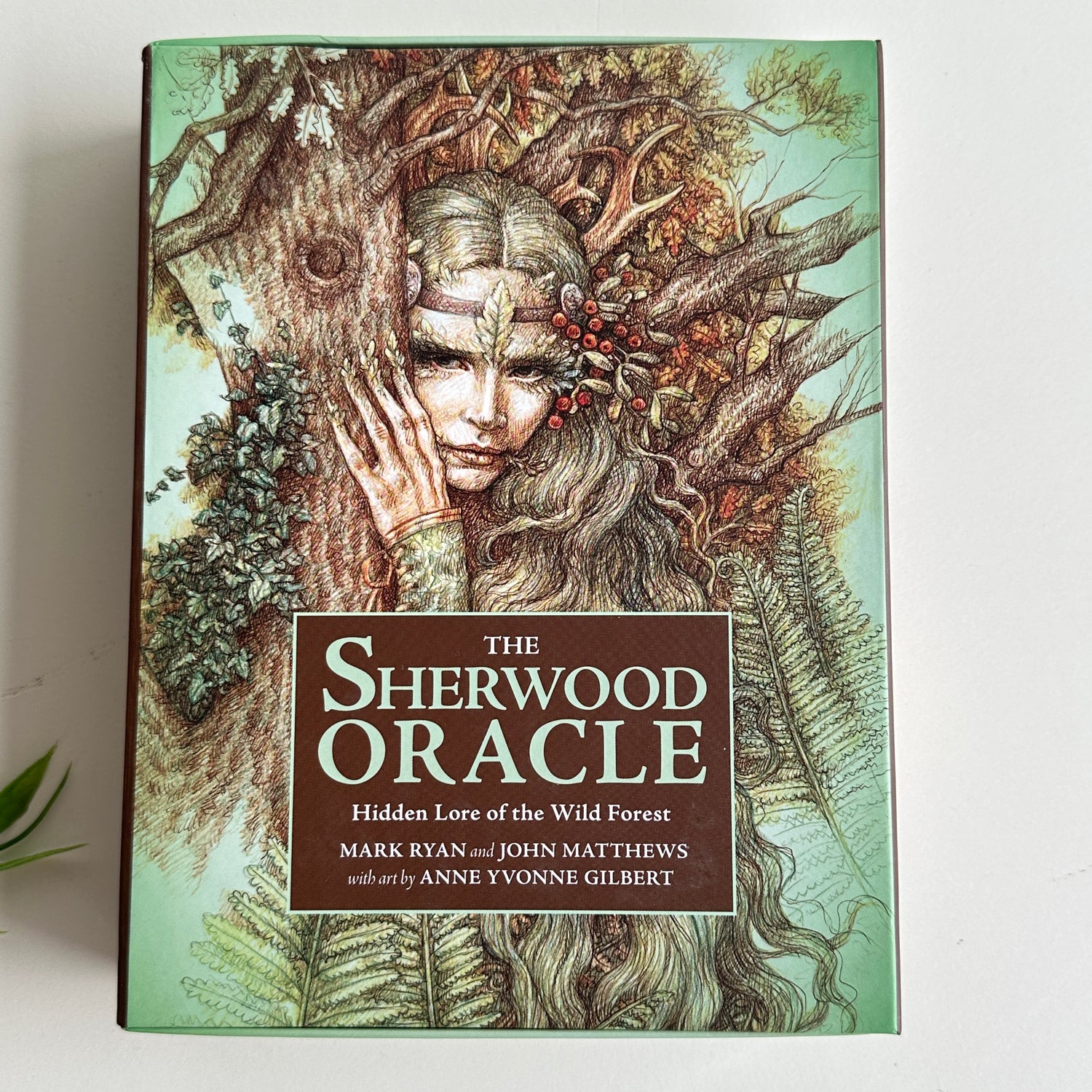 The Sherwood Oracle Mark Ryan