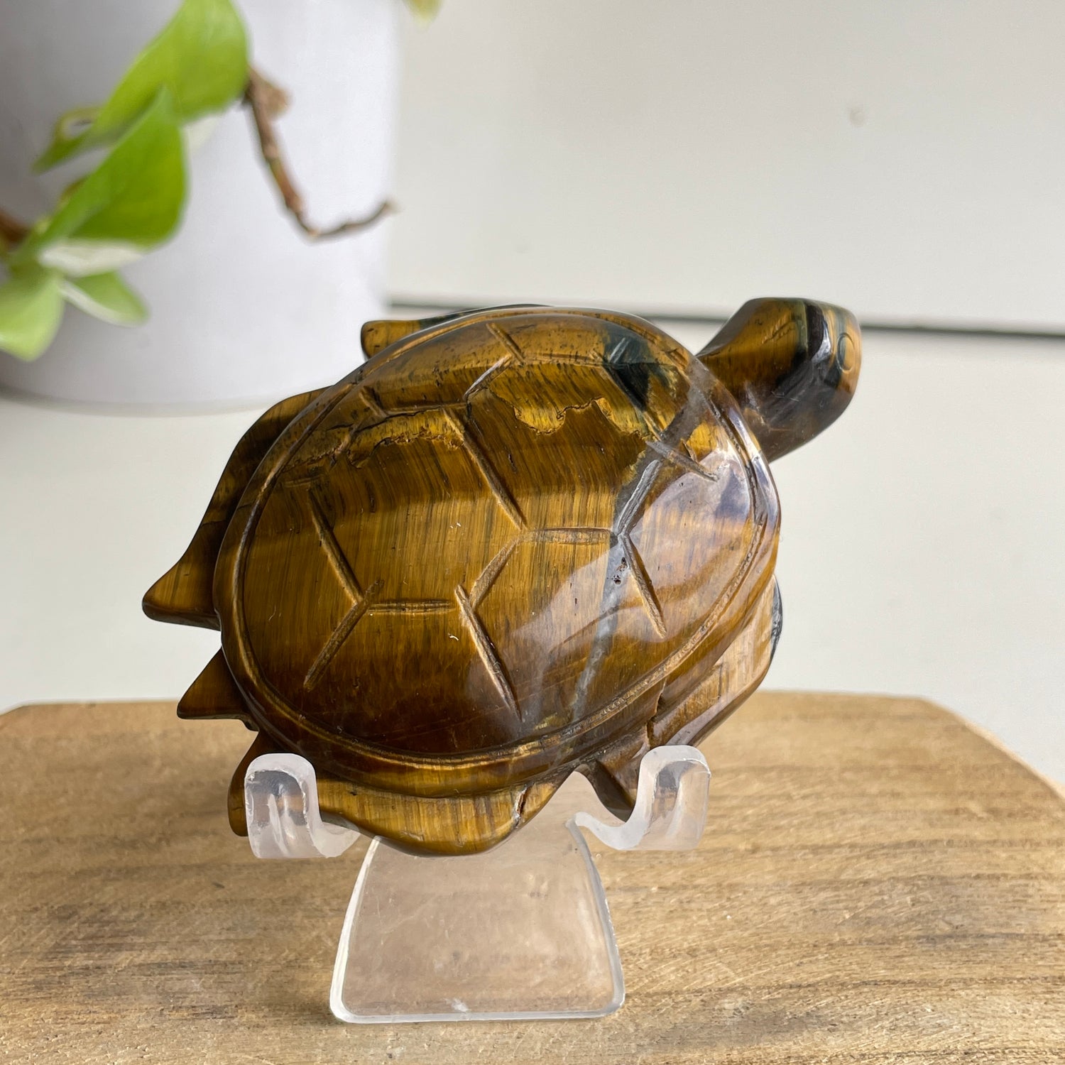 Tigers Eye Turtle 124g